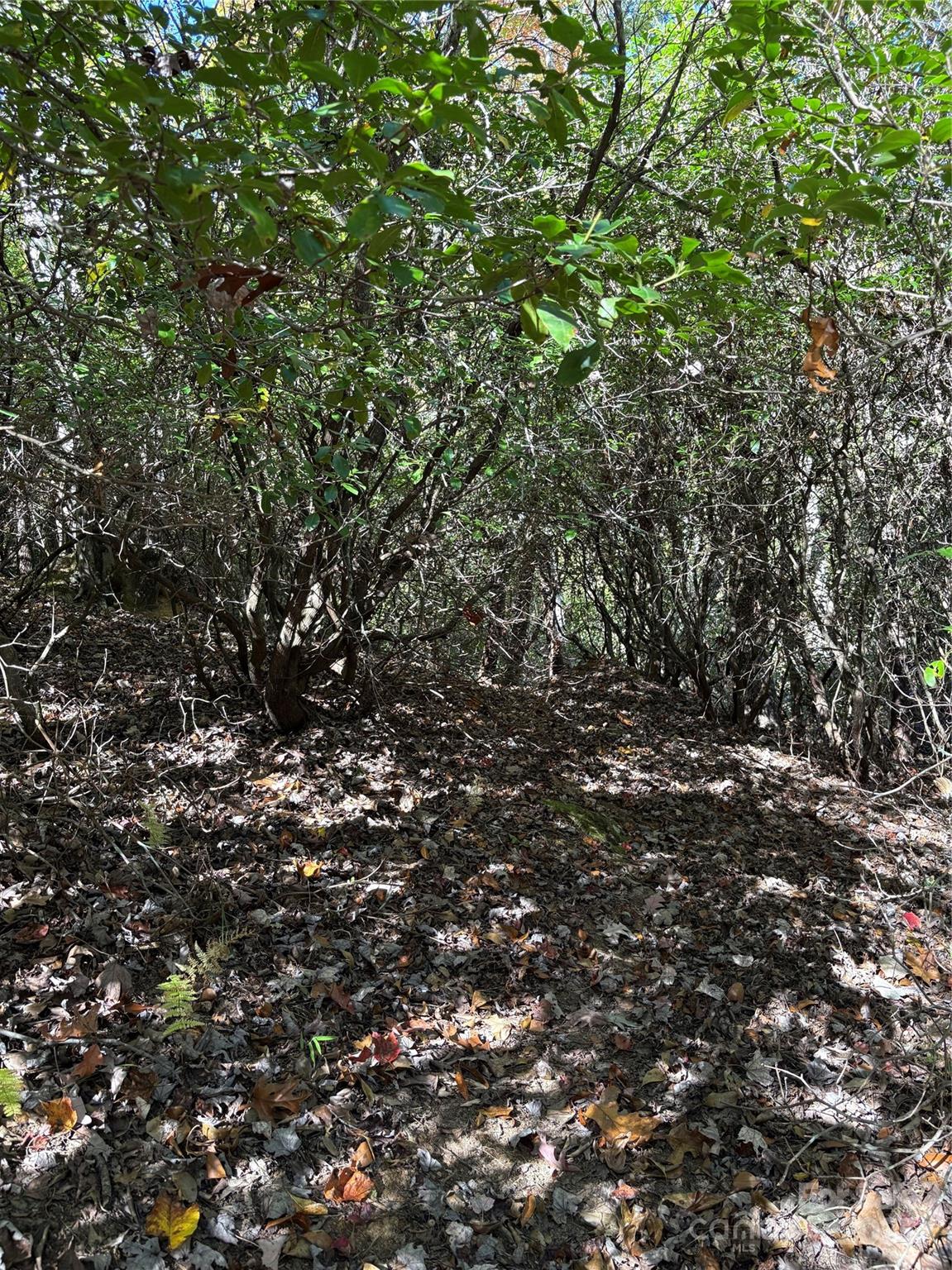 00 Caddis Lane 94 Property Photo 10