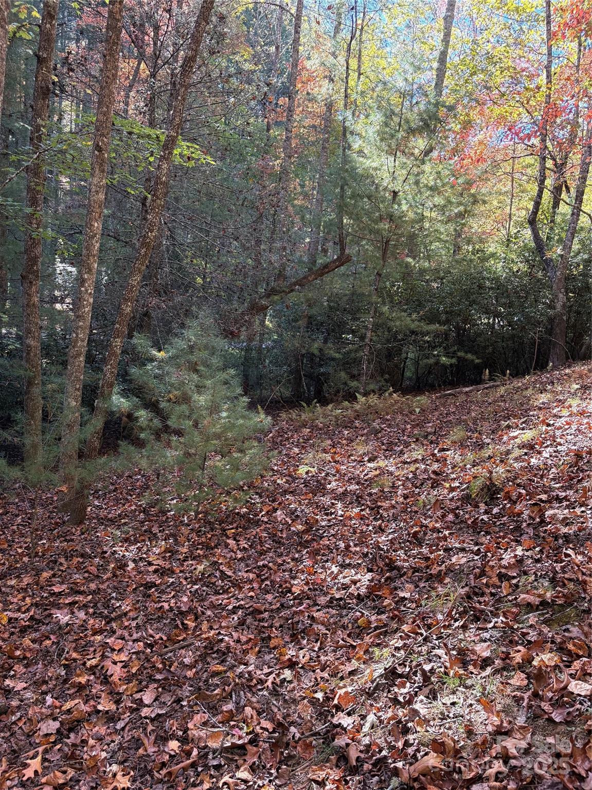 00 Caddis Lane 94 Property Photo 11