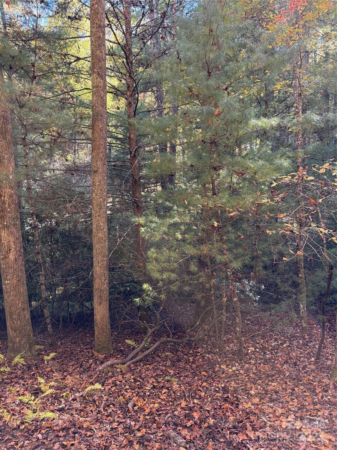 00 Caddis Lane 94 Property Photo 12