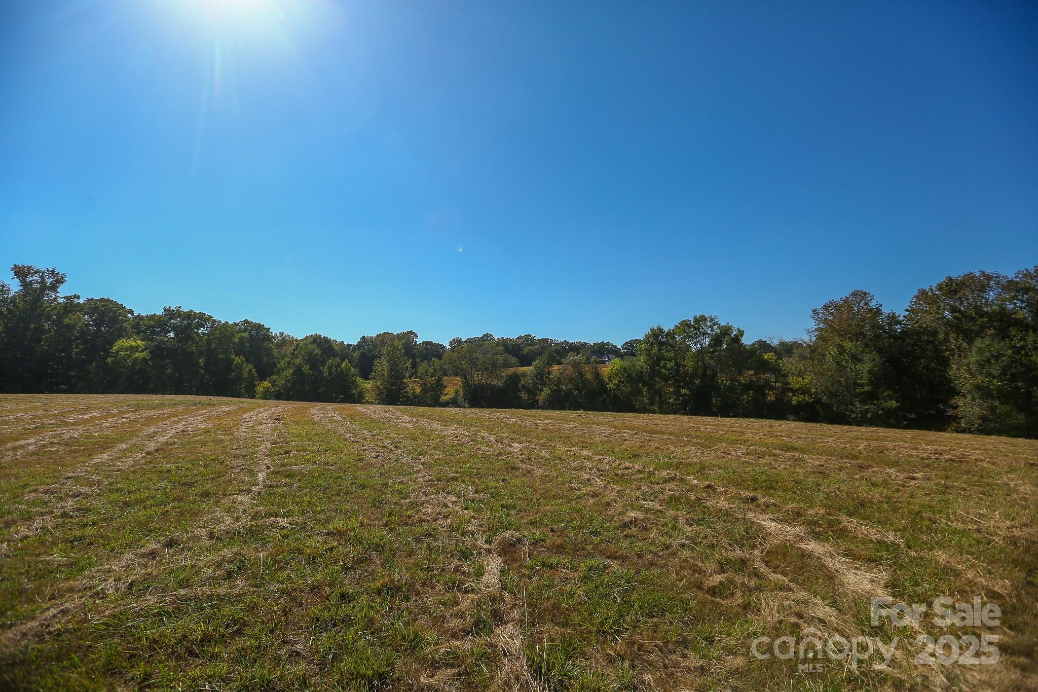 0 Wagoner Road Property Photo 1