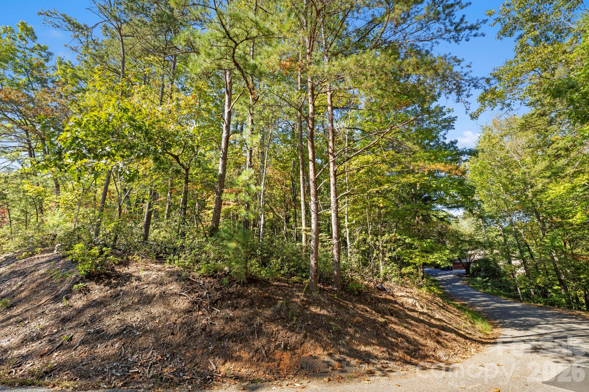 Lot 42 Palmer Place Property Photo 3