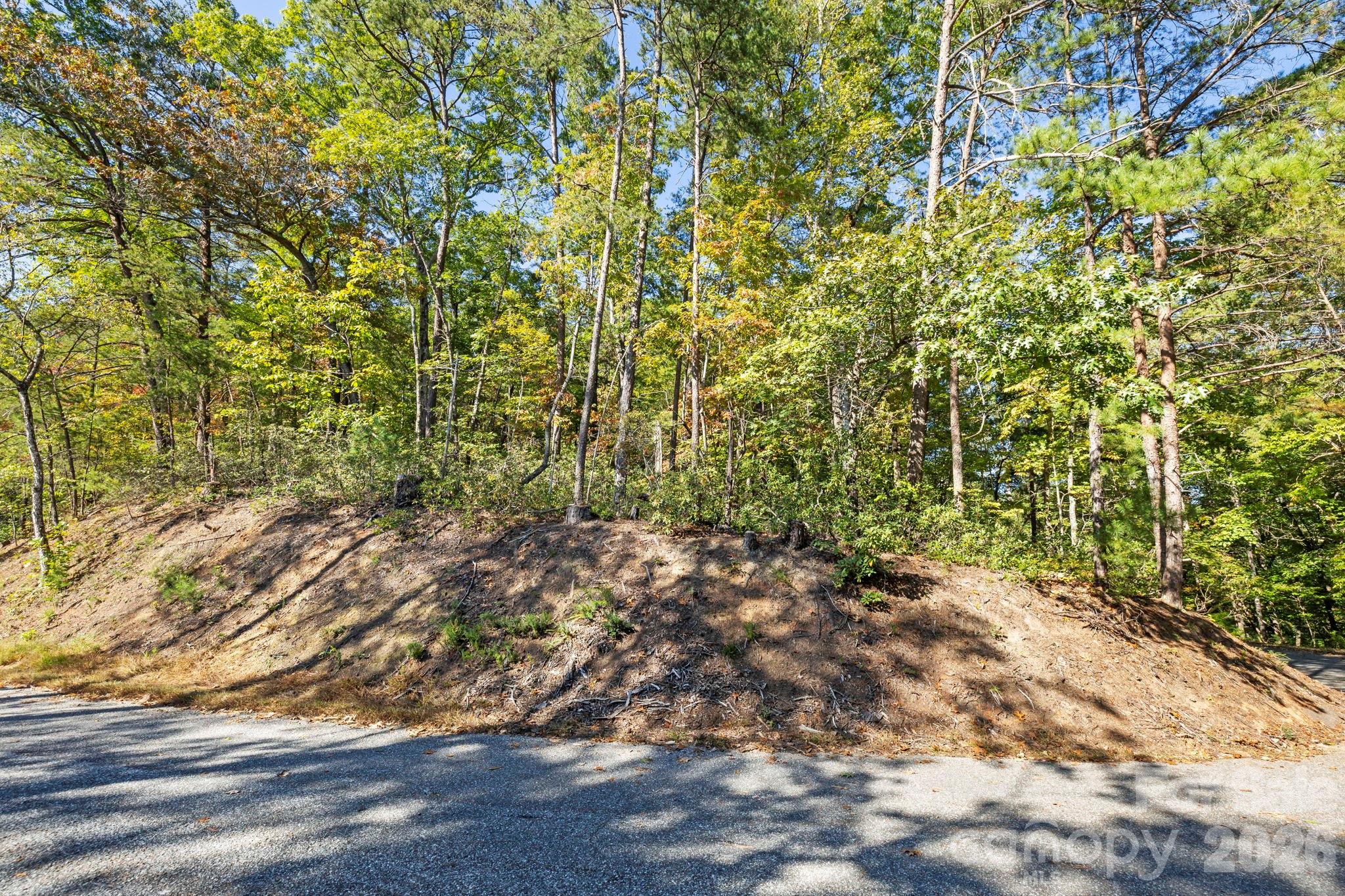 Lot 42 Palmer Place Property Photo 4