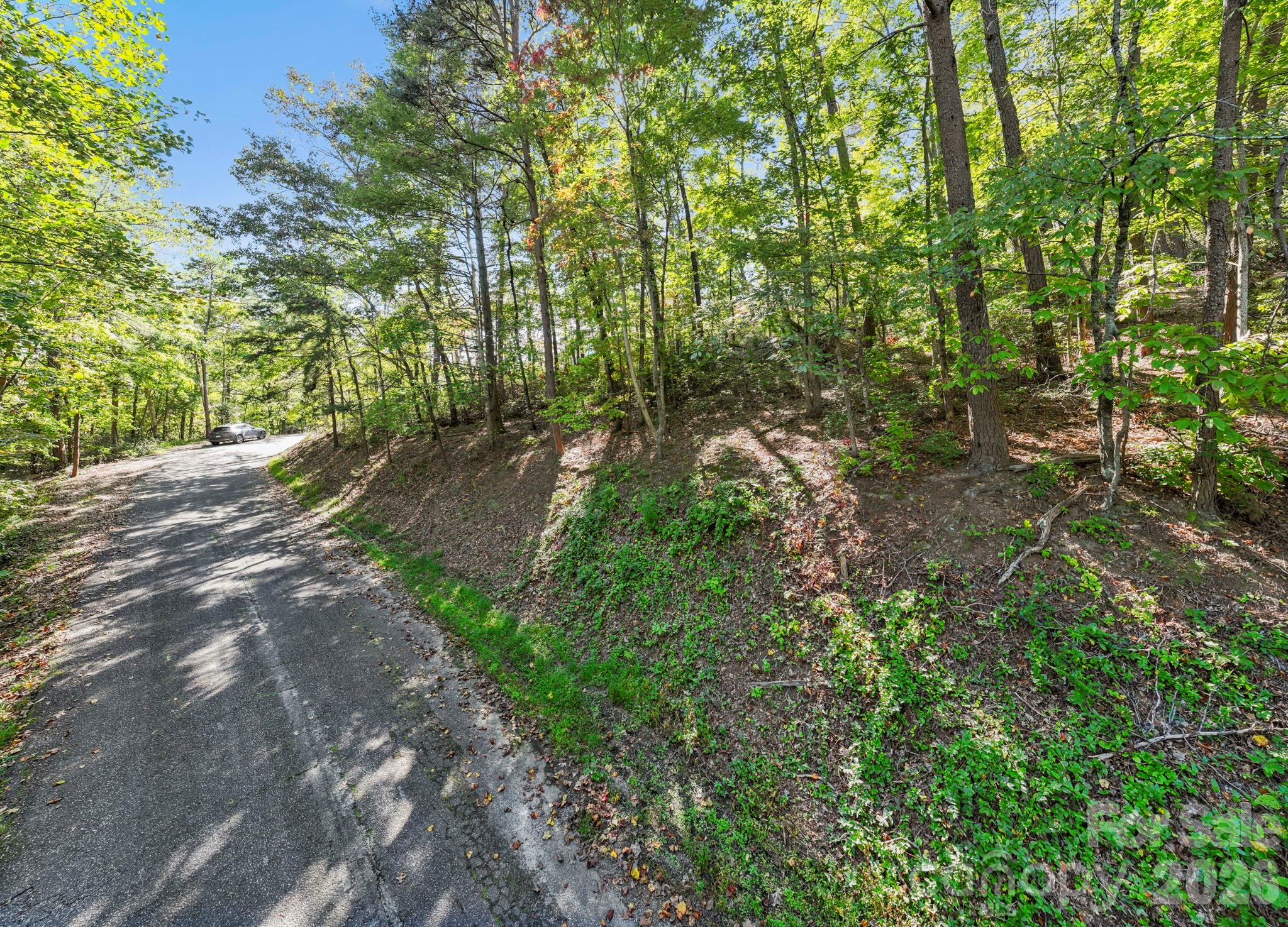 Lot 42 Palmer Place Property Photo 5