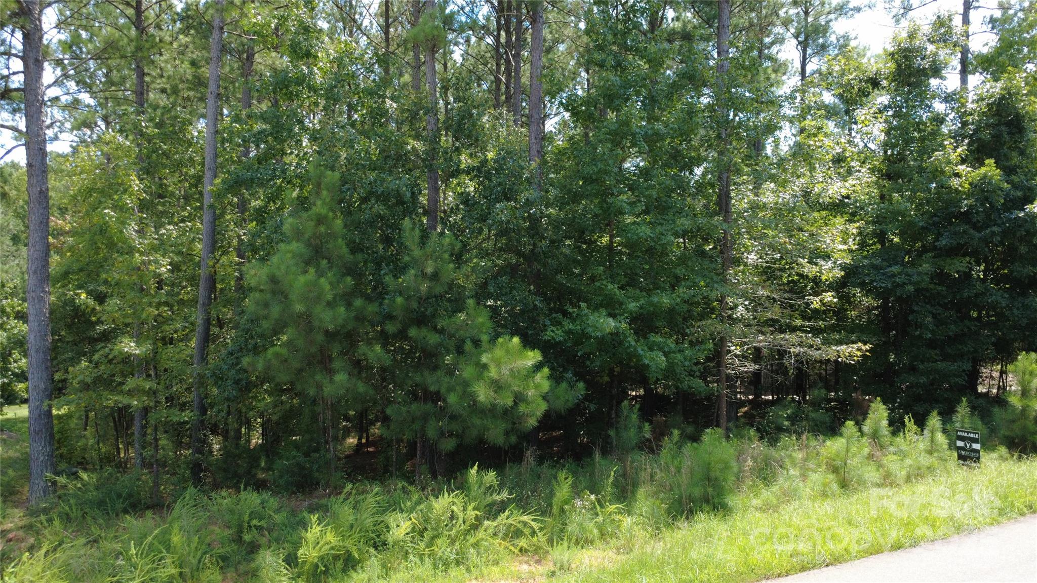 4155 Persimmon Road Property Photo 2