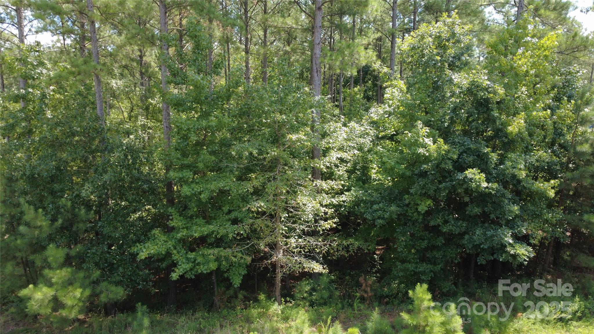 4155 Persimmon Road Property Photo 3