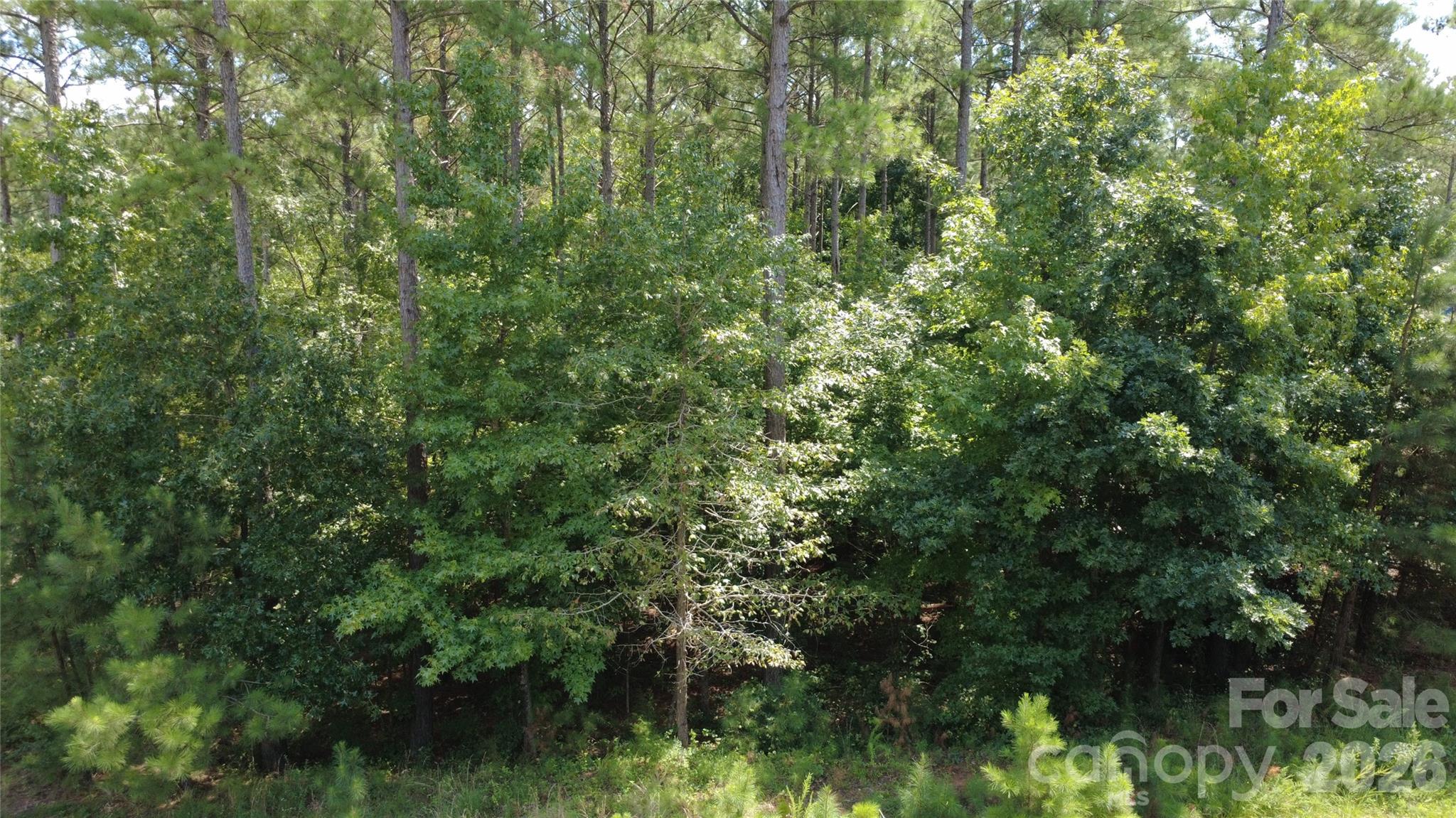 4155 Persimmon Road Property Photo 3
