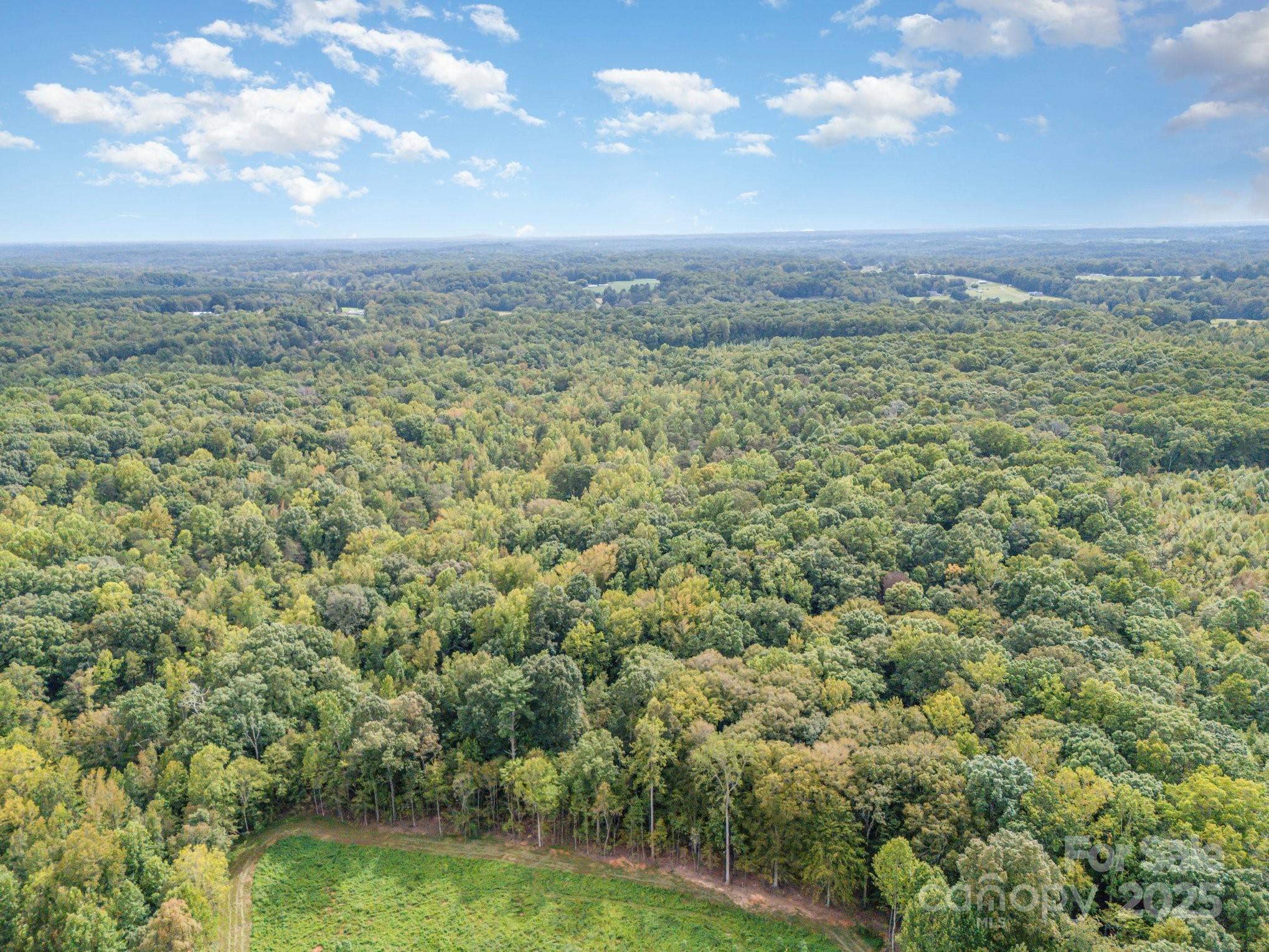 0 Ratledge Road Property Photo 6