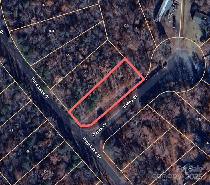 0 Pine Lake Drive Property Photo 1