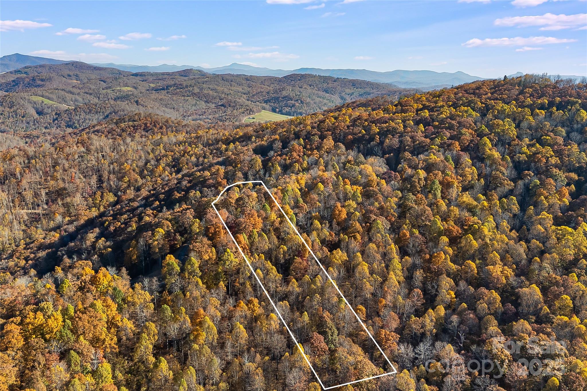 Lot 103 Alderfly Court Property Photo 2