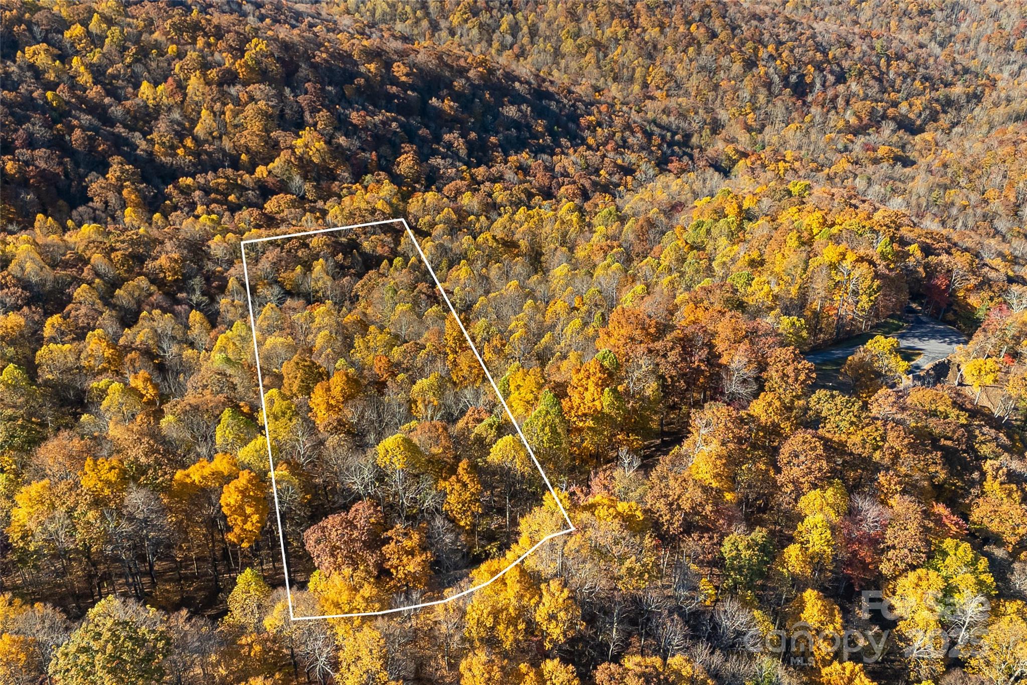 Lot 103 Alderfly Court Property Photo 4