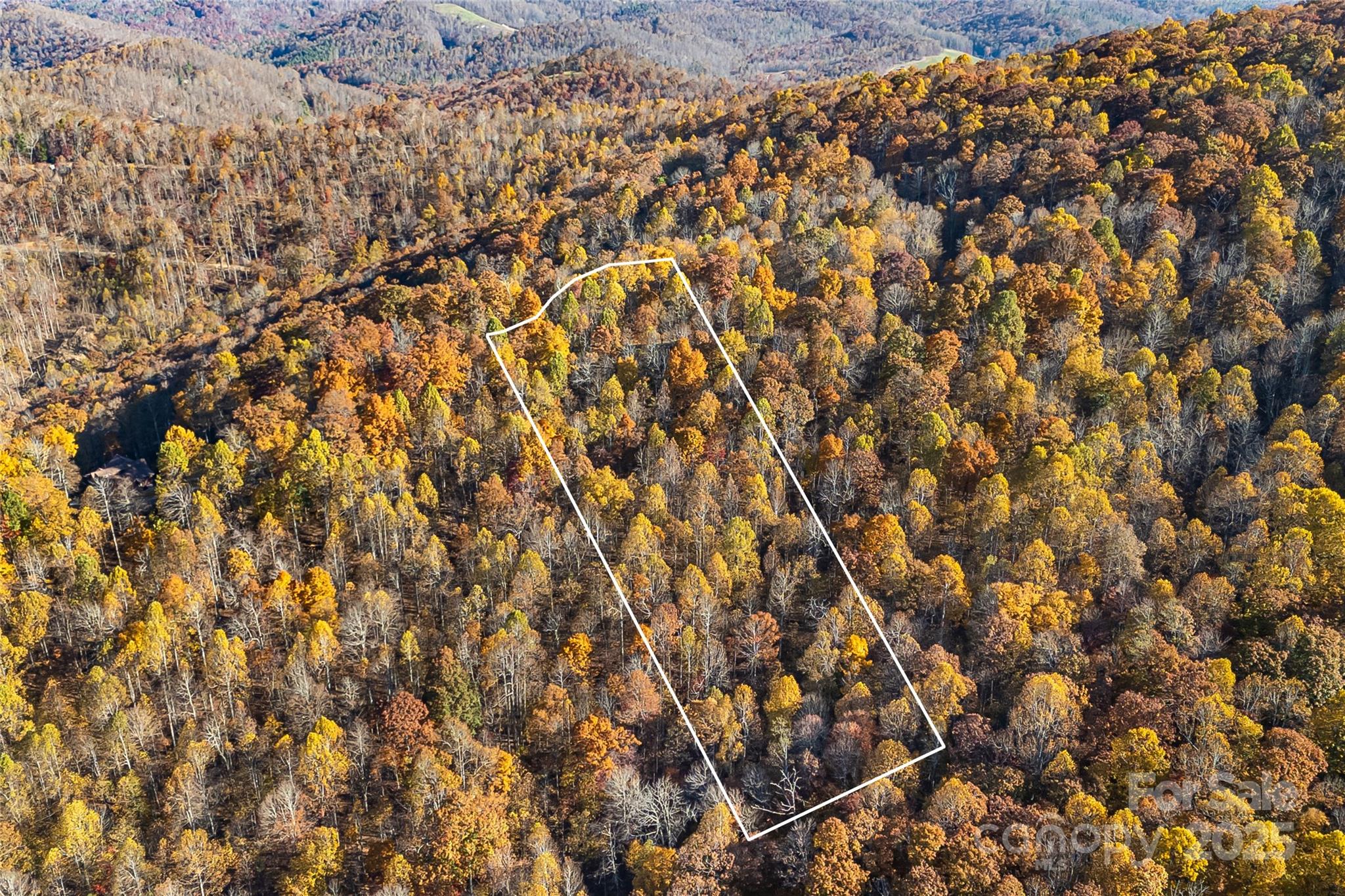 Lot 103 Alderfly Court Property Photo 5