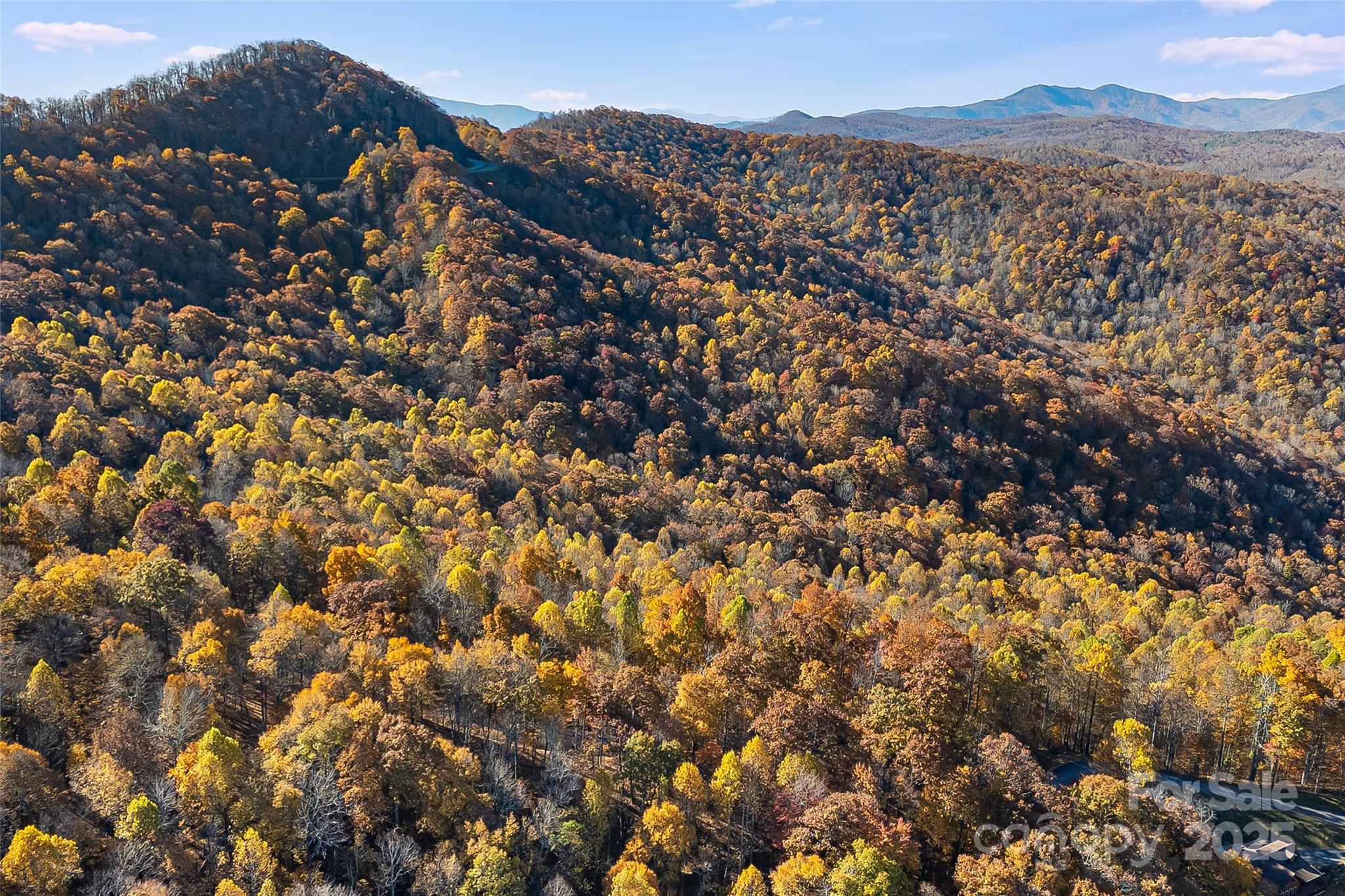 Lot 103 Alderfly Court Property Photo 11