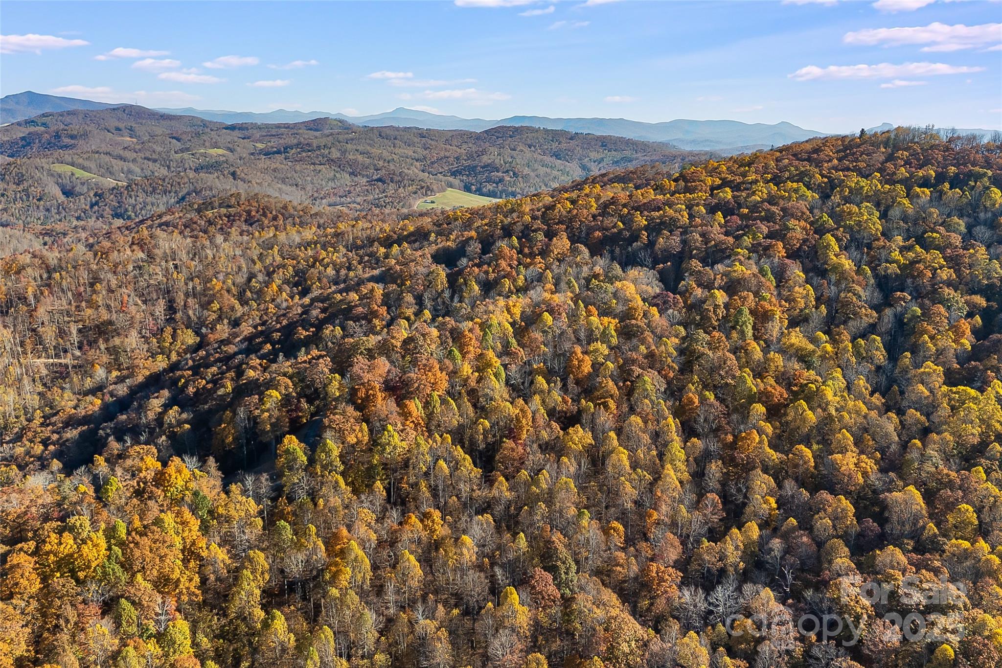 Lot 103 Alderfly Court Property Photo 12