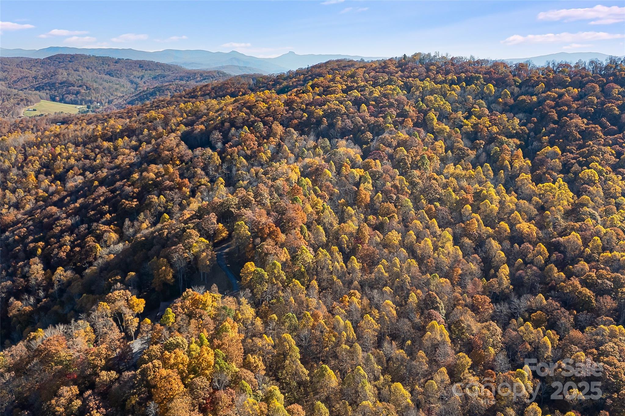 Lot 103 Alderfly Court Property Photo 13