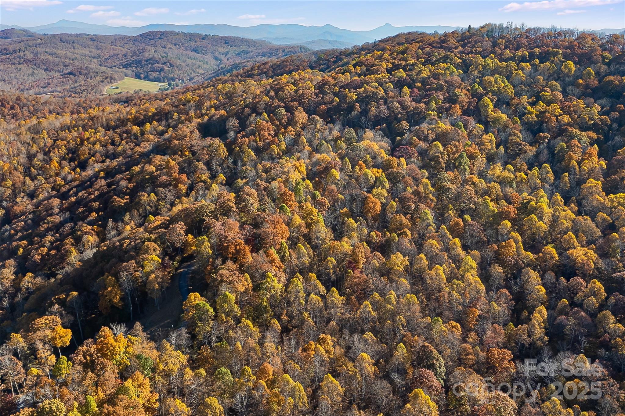 Lot 103 Alderfly Court Property Photo 14