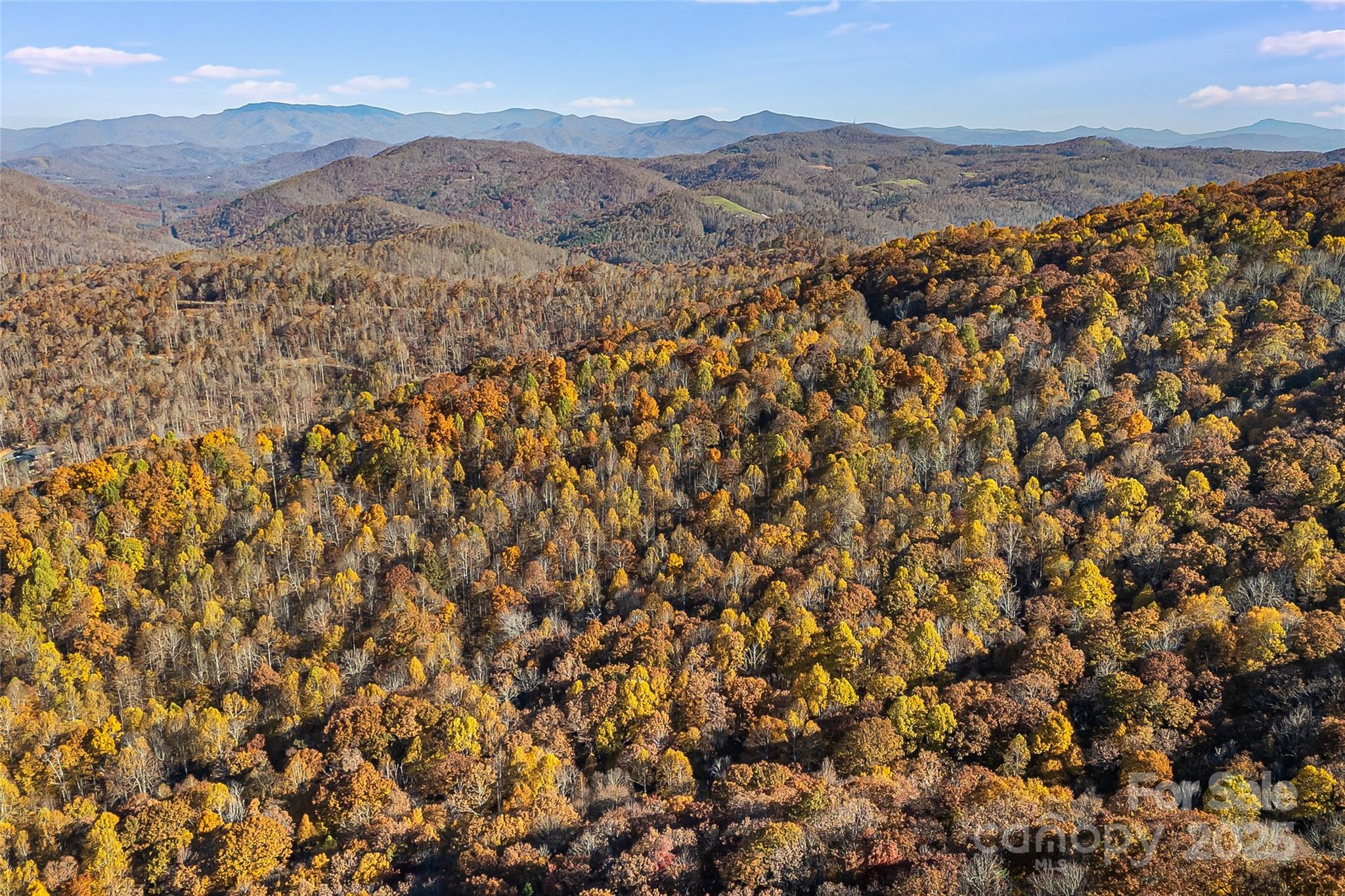 Lot 103 Alderfly Court Property Photo 15