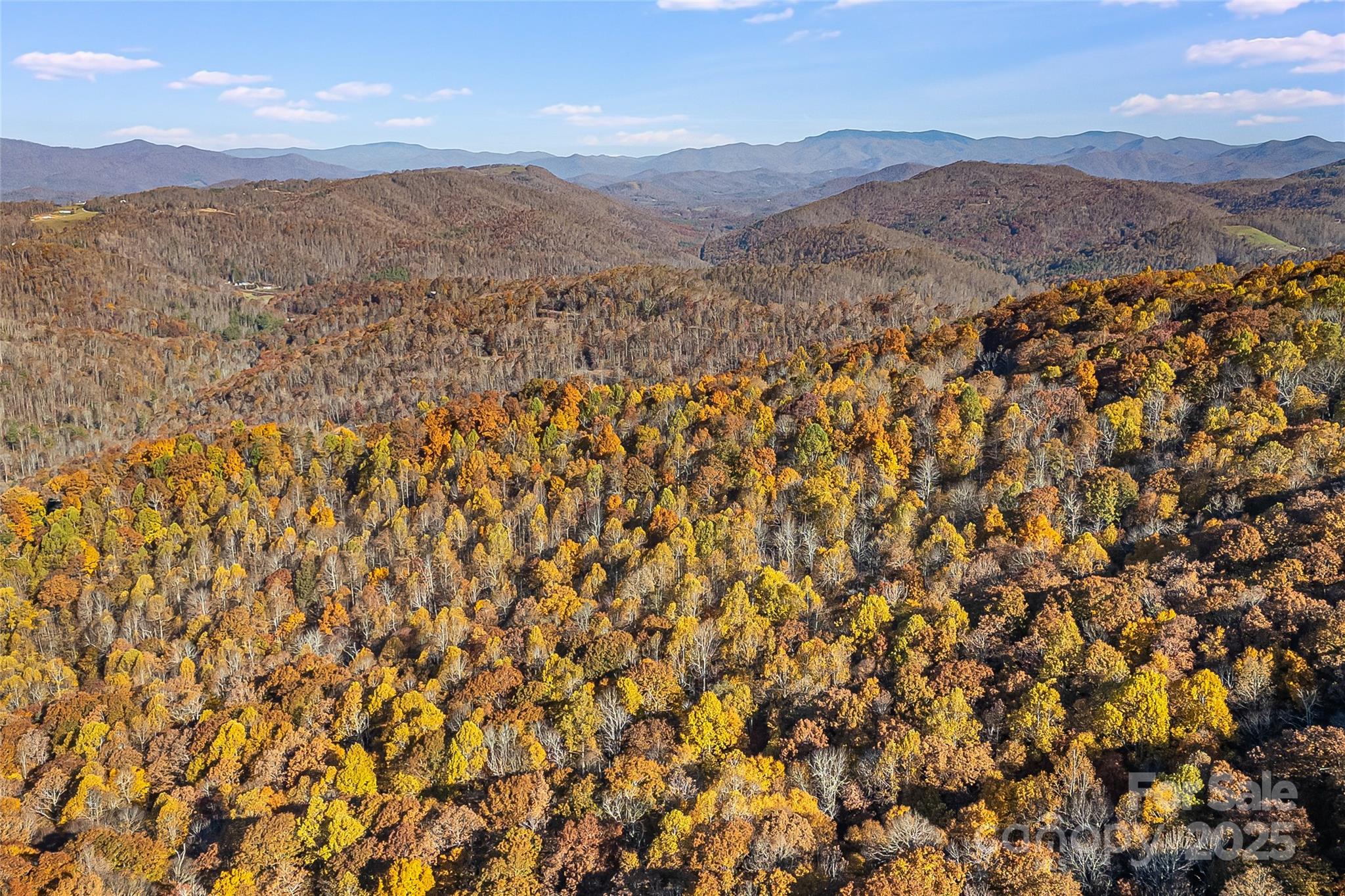 Lot 103 Alderfly Court Property Photo 16