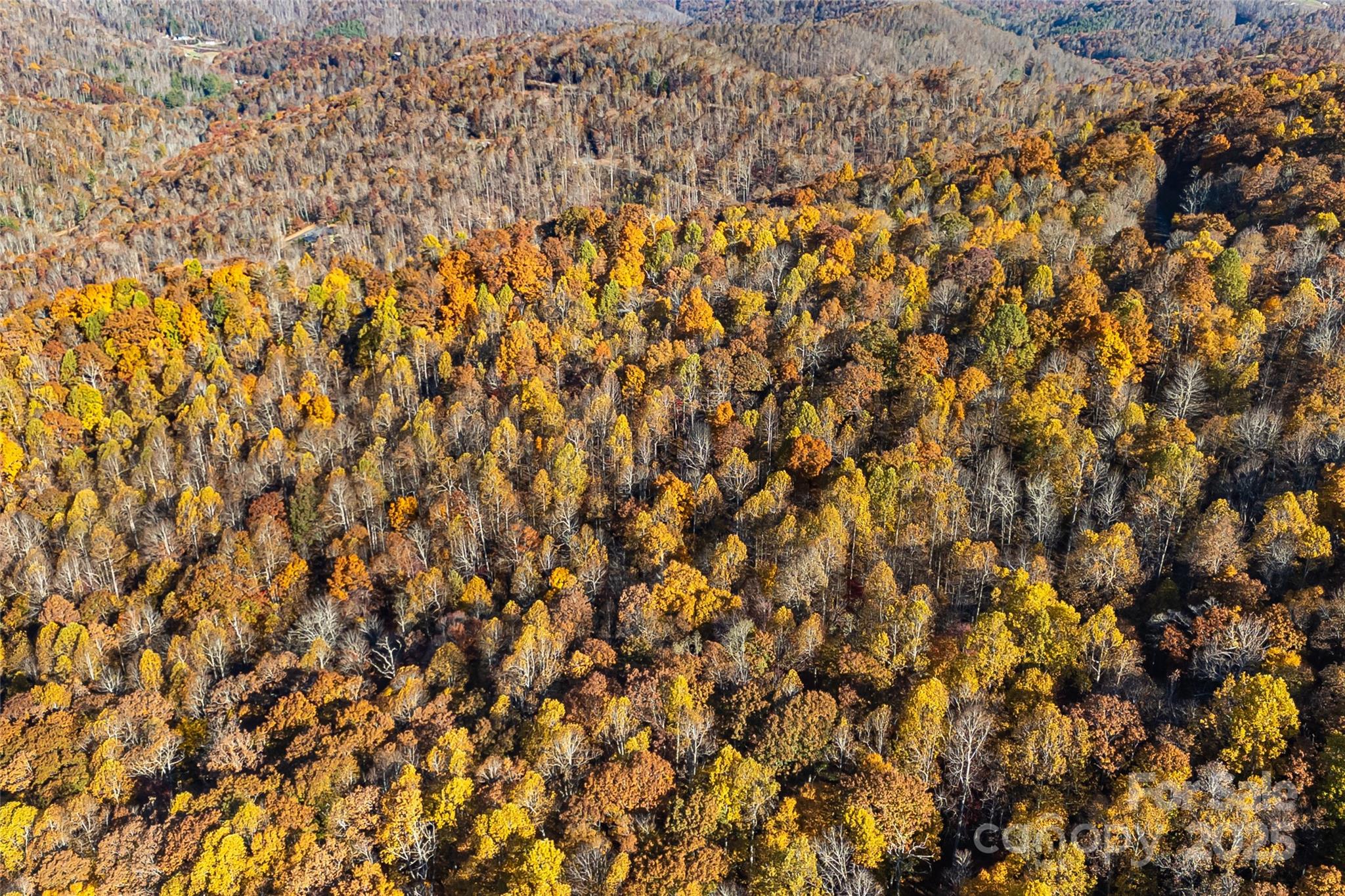 Lot 103 Alderfly Court Property Photo 17