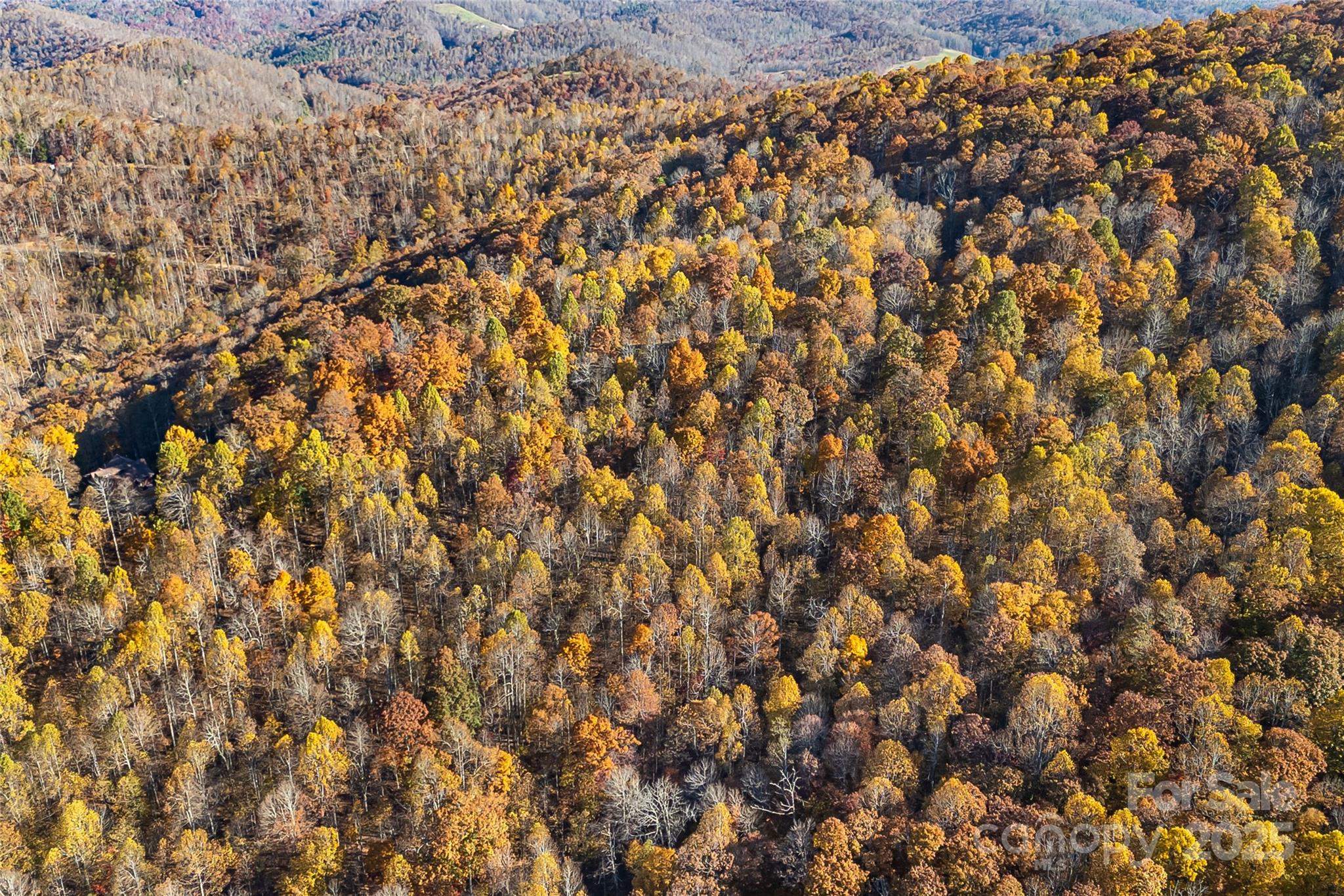 Lot 103 Alderfly Court Property Photo 18