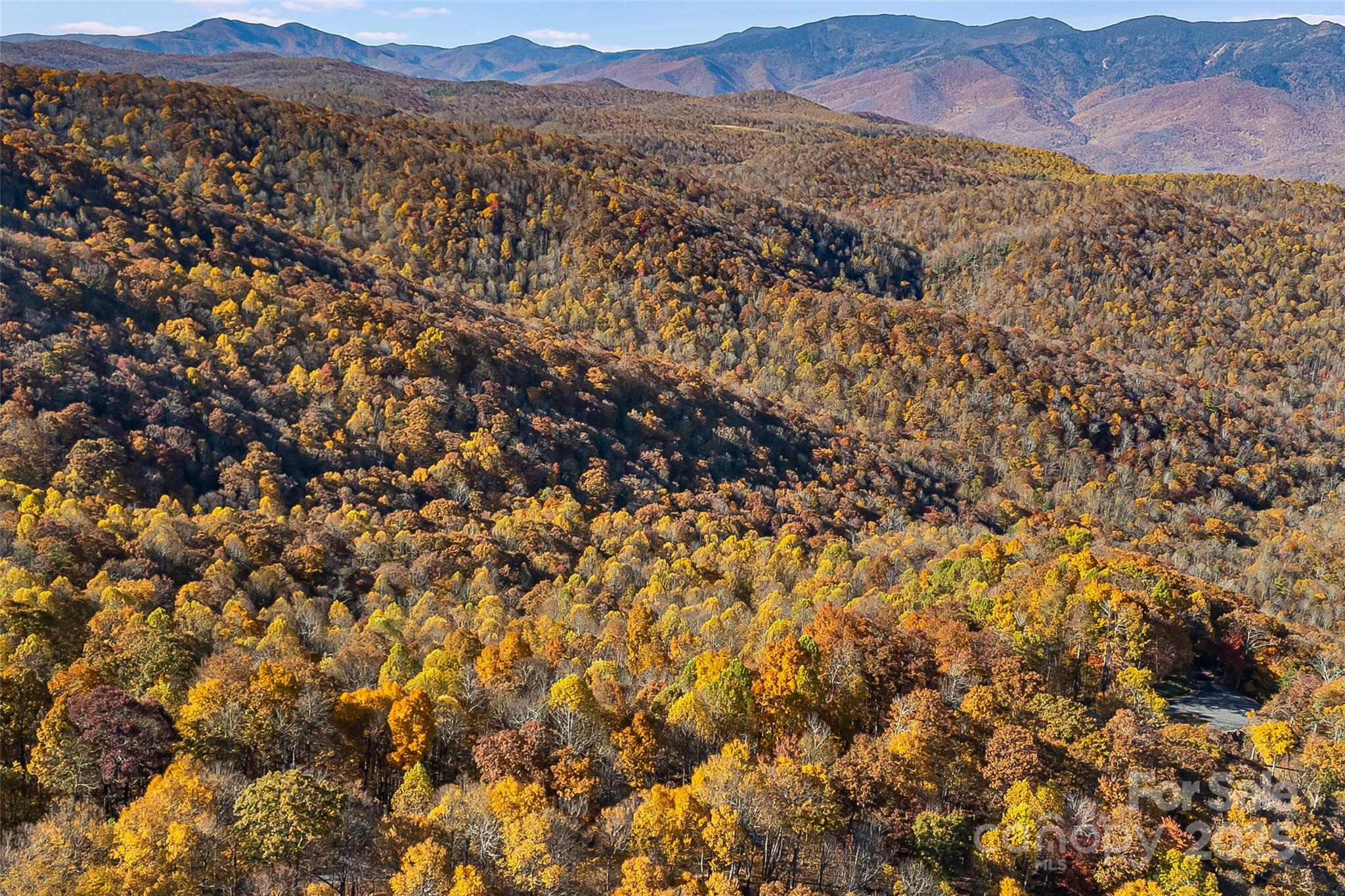 Lot 103 Alderfly Court Property Photo 19