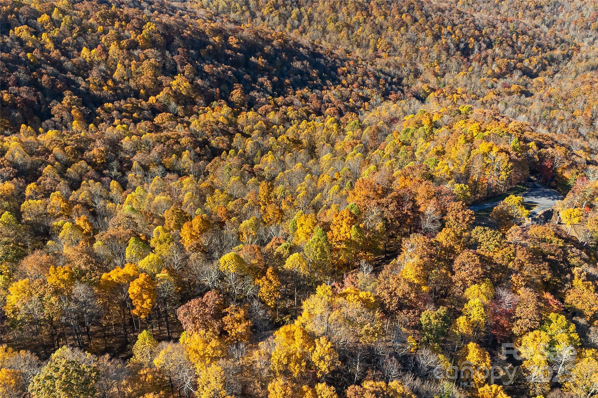 Lot 103 Alderfly Court Property Photo 20