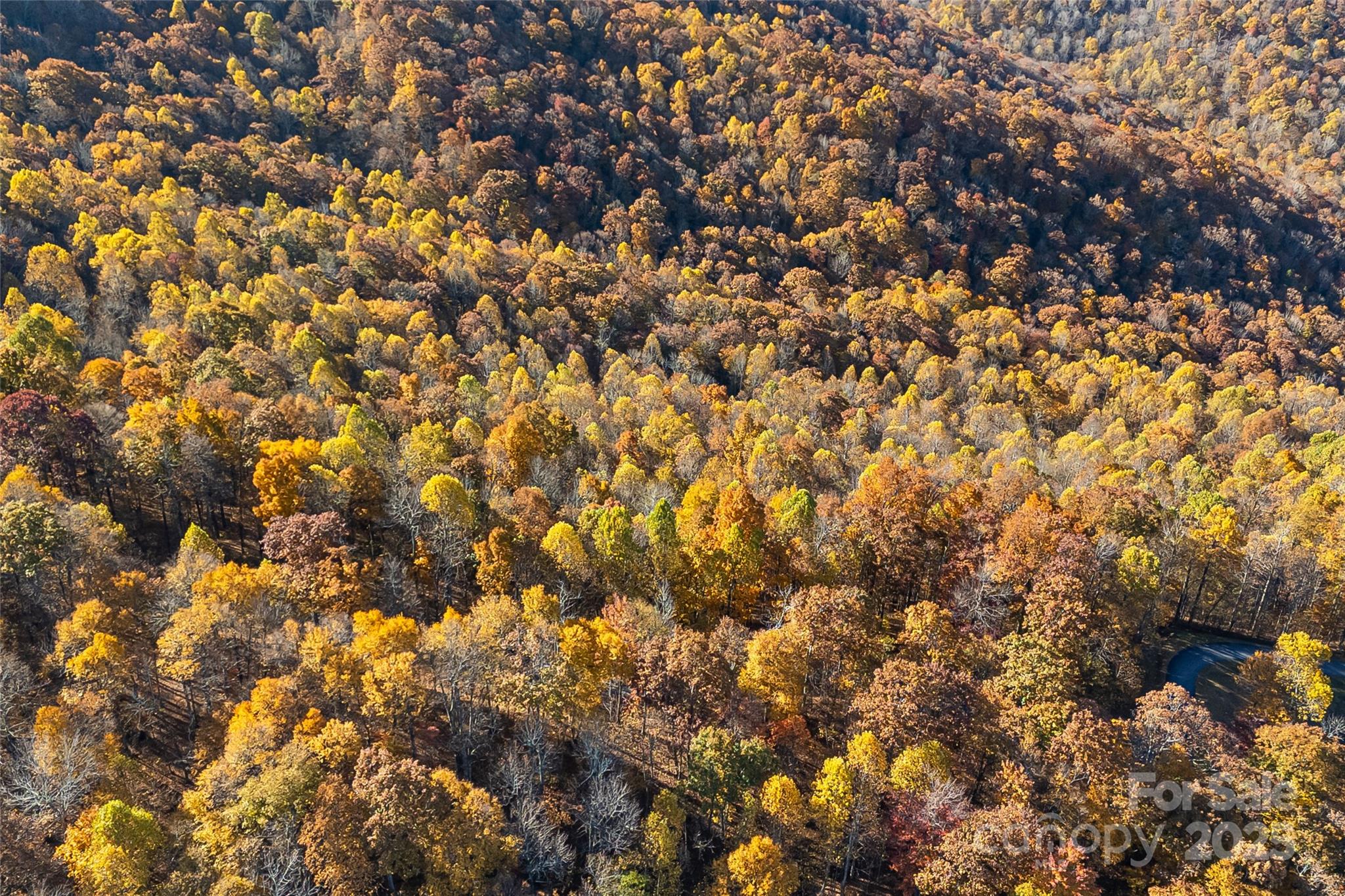 Lot 103 Alderfly Court Property Photo 21