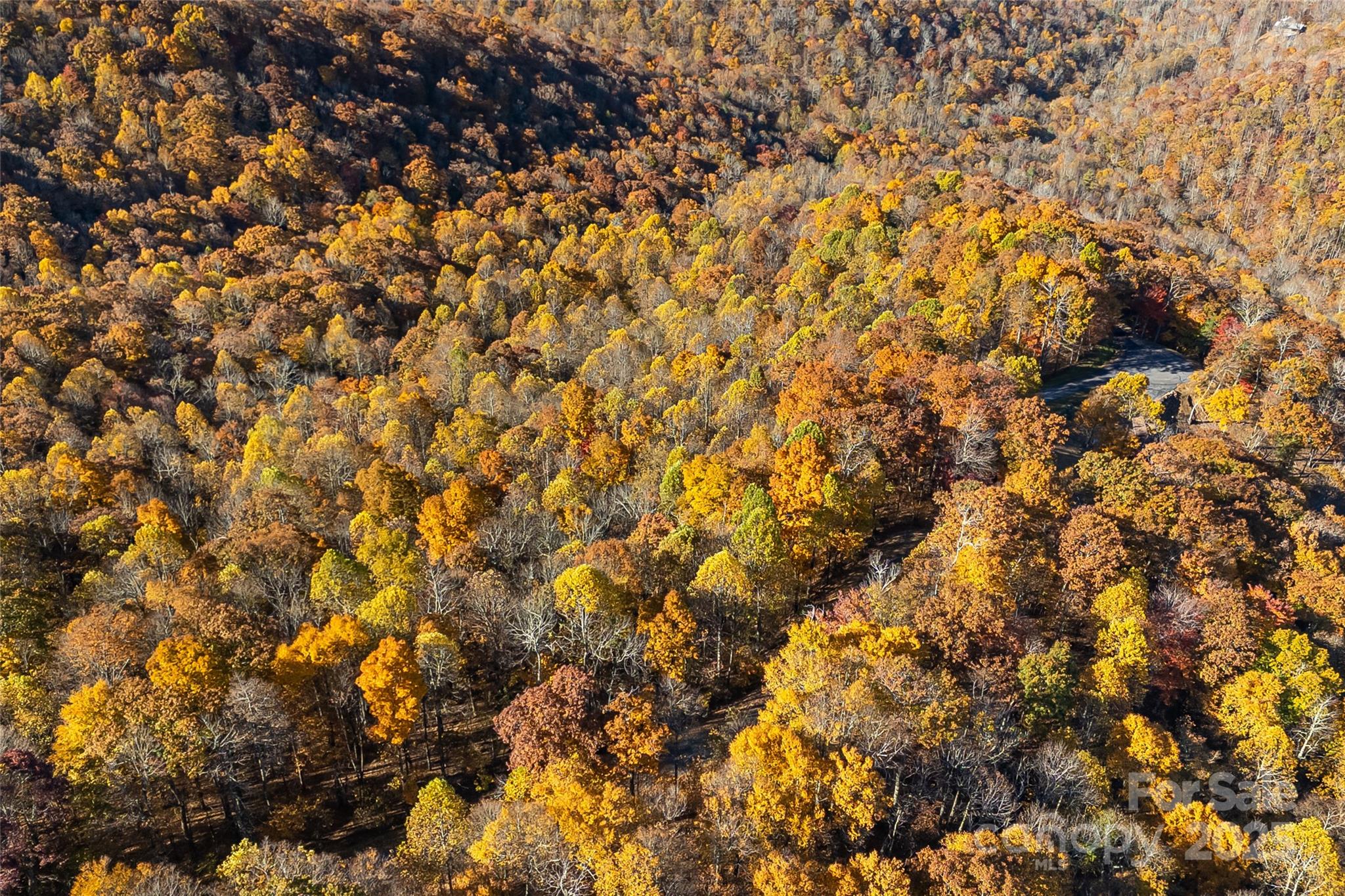 Lot 103 Alderfly Court Property Photo 22