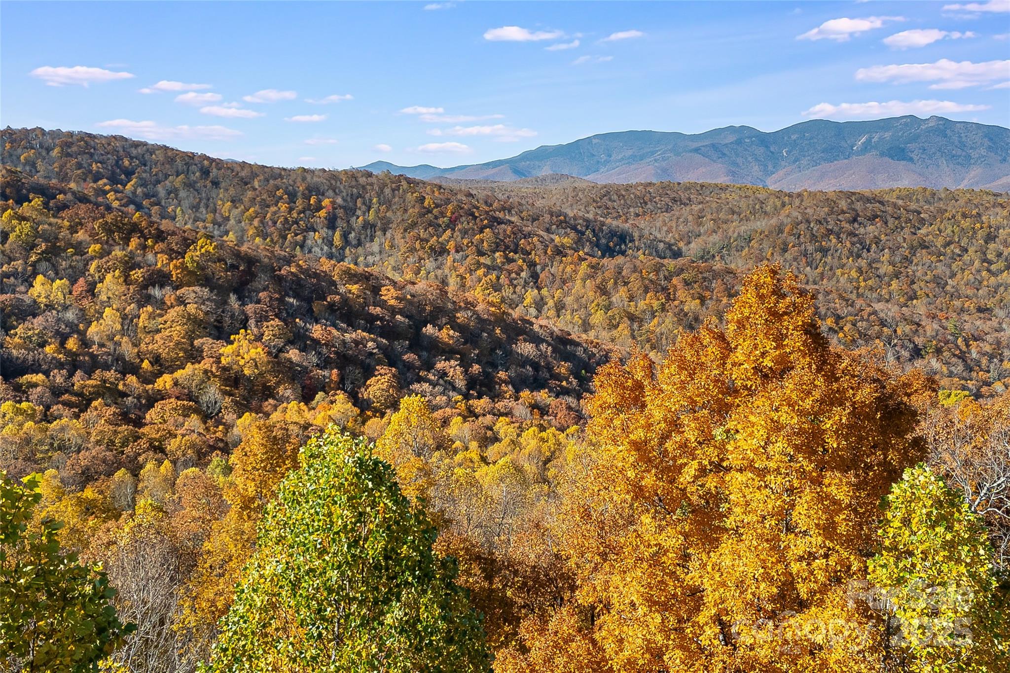 Lot 103 Alderfly Court Property Photo 23