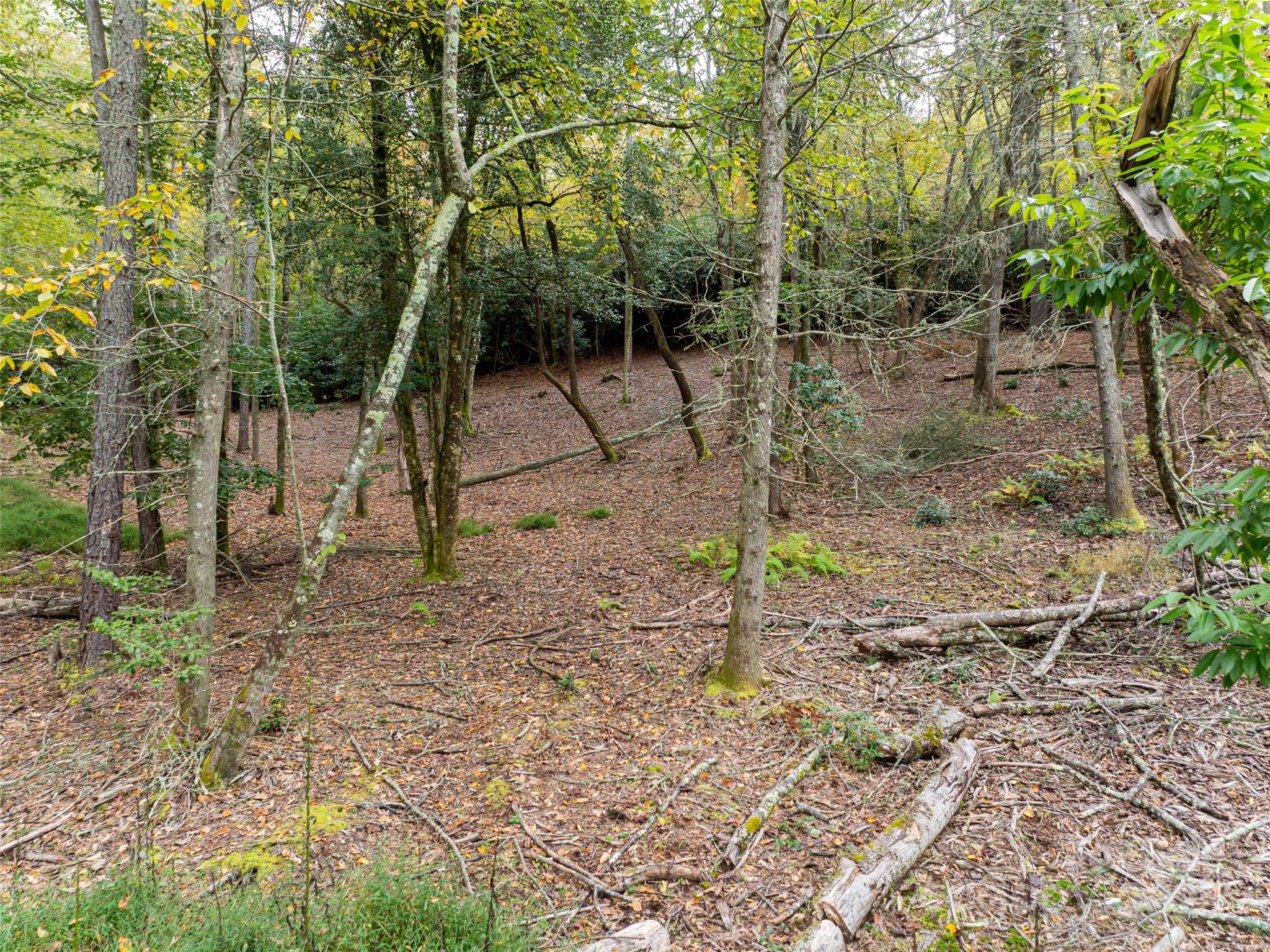 71 Happy Valley Drive Property Photo 15