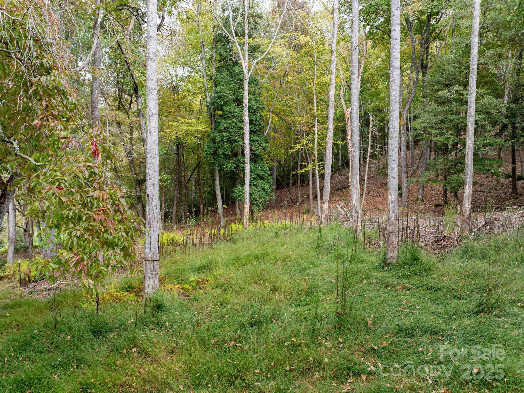 71 Happy Valley Drive Property Photo 34