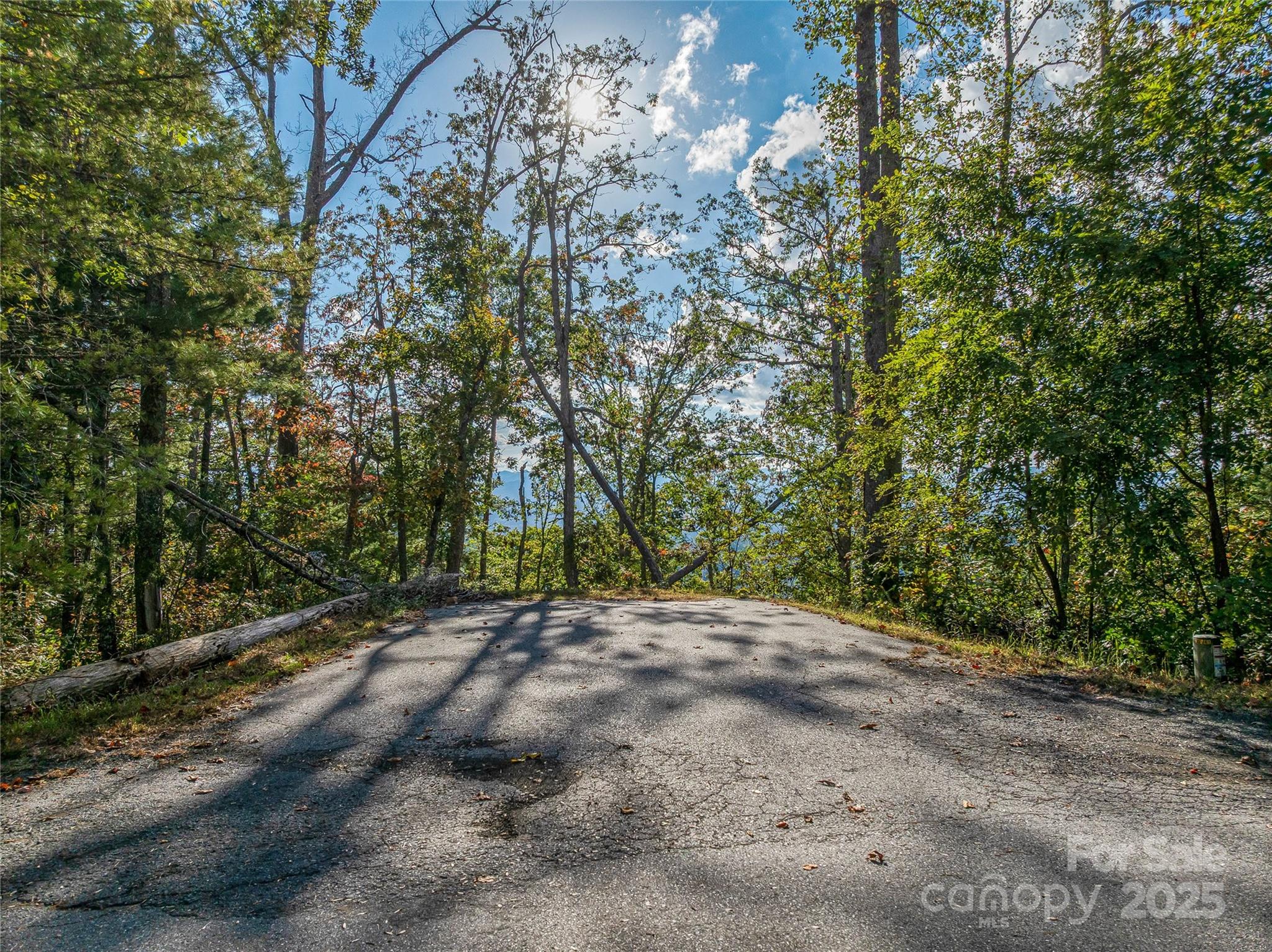 273 Serenity Ridge Trail 36 Property Photo 12