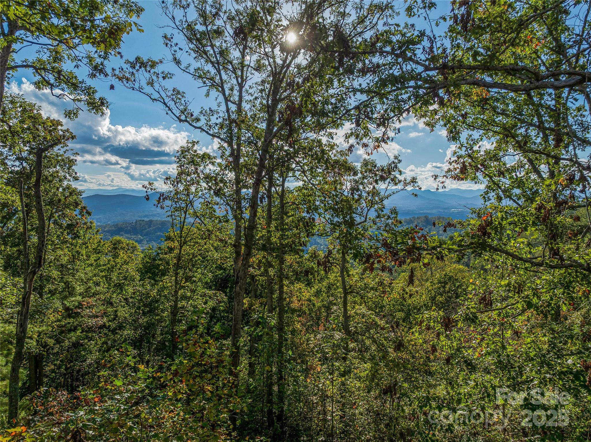 273 Serenity Ridge Trail 36 Property Photo 14