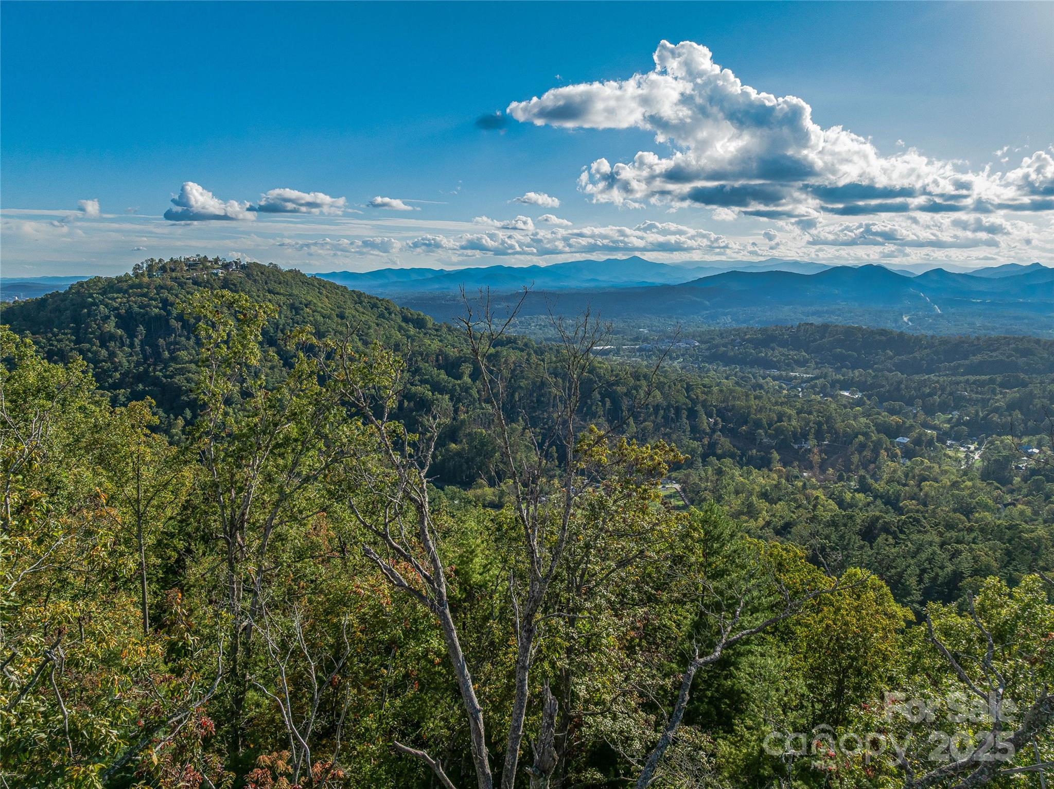 273 Serenity Ridge Trail 36 Property Photo 15