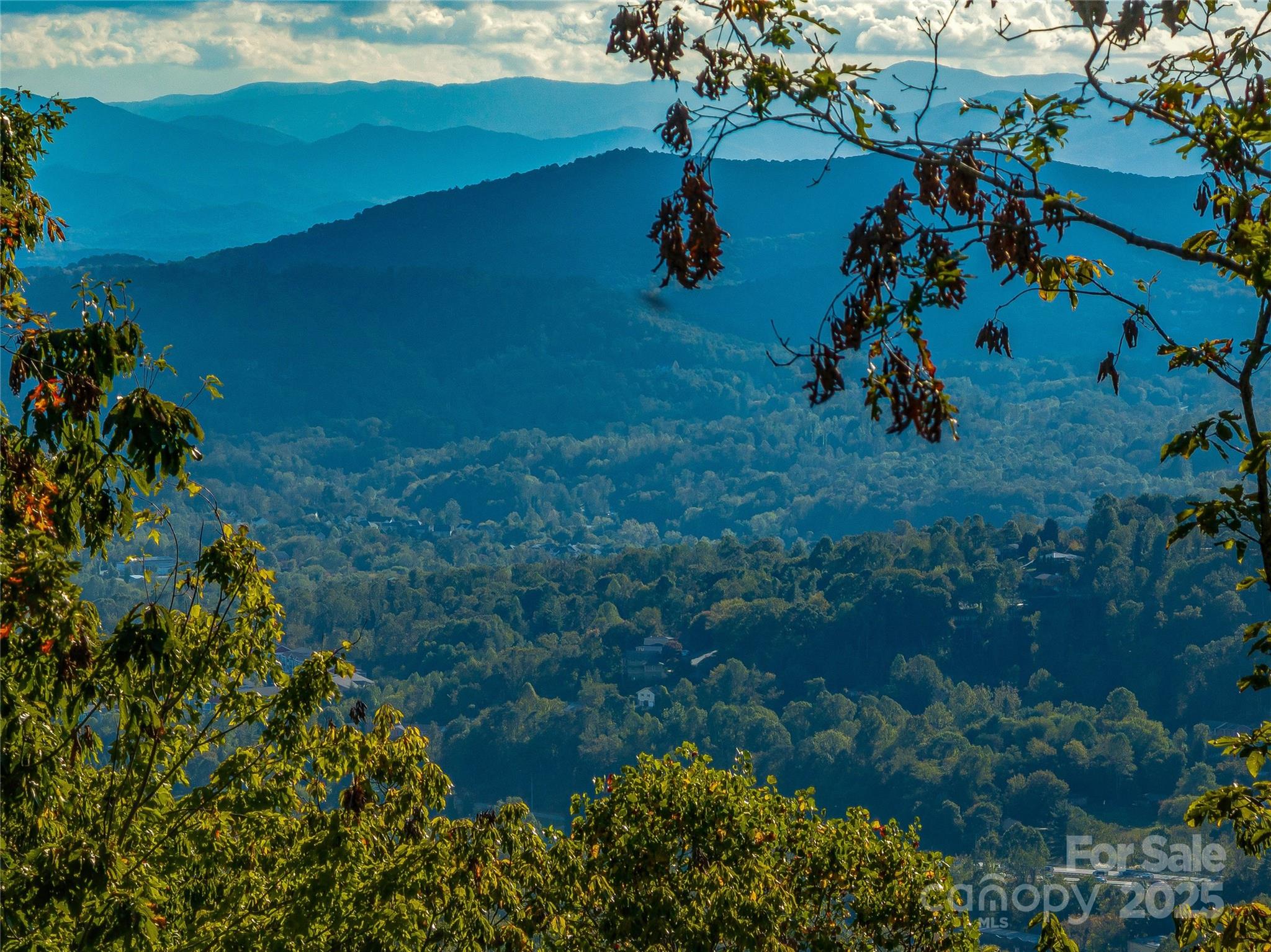 273 Serenity Ridge Trail 36 Property Photo 20