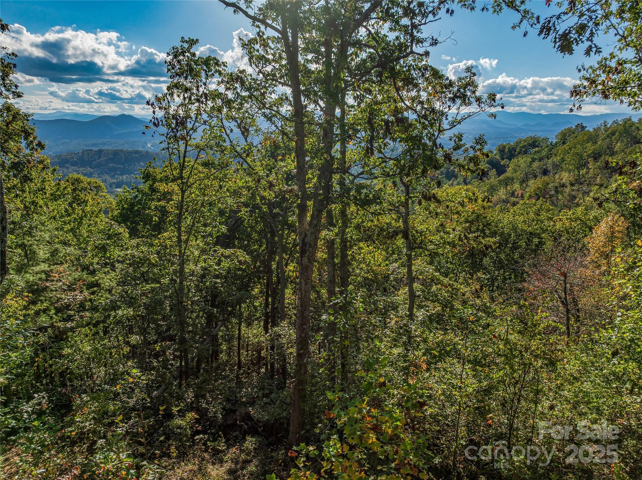 273 Serenity Ridge Trail 36 Property Photo 21