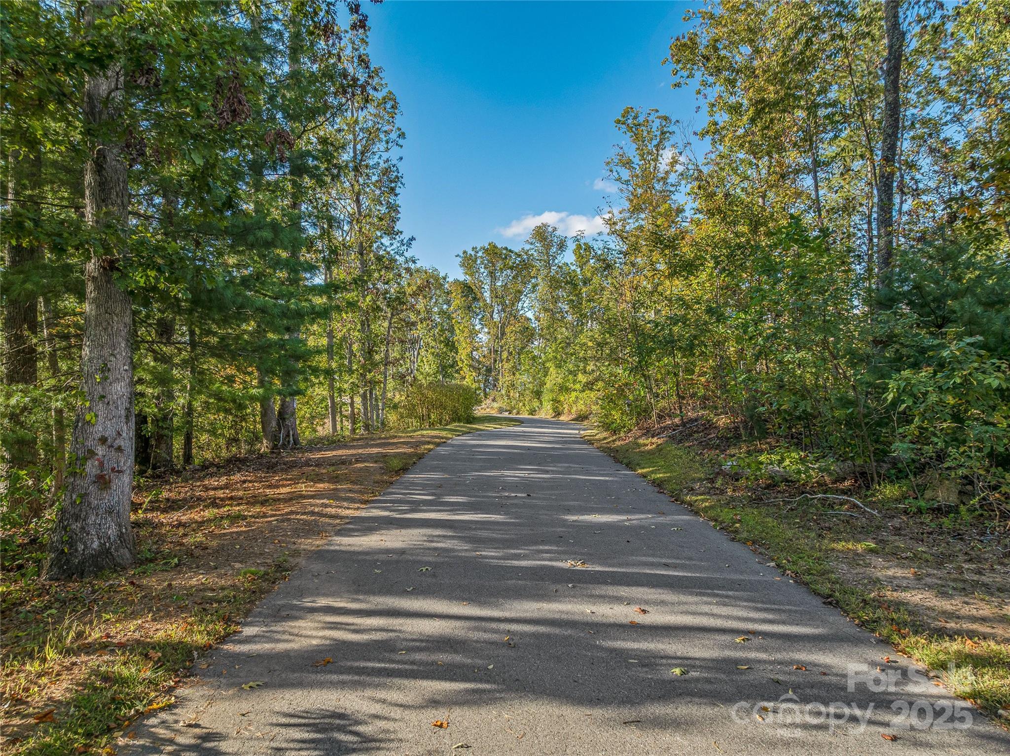 273 Serenity Ridge Trail 36 Property Photo 24