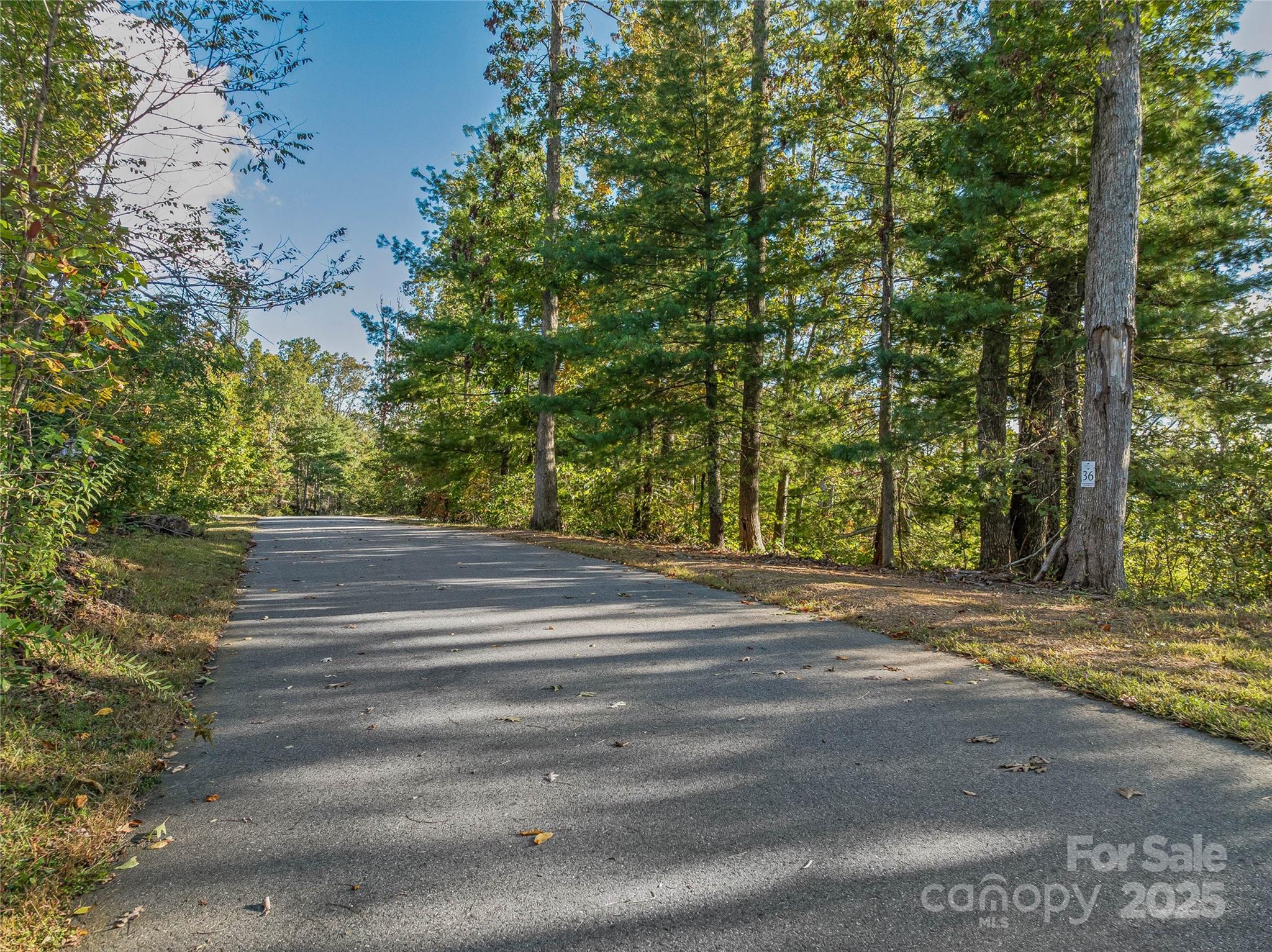 273 Serenity Ridge Trail 36 Property Photo 25