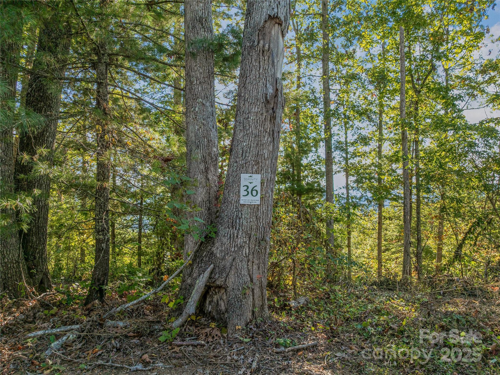 273 Serenity Ridge Trail 36 Property Photo 26