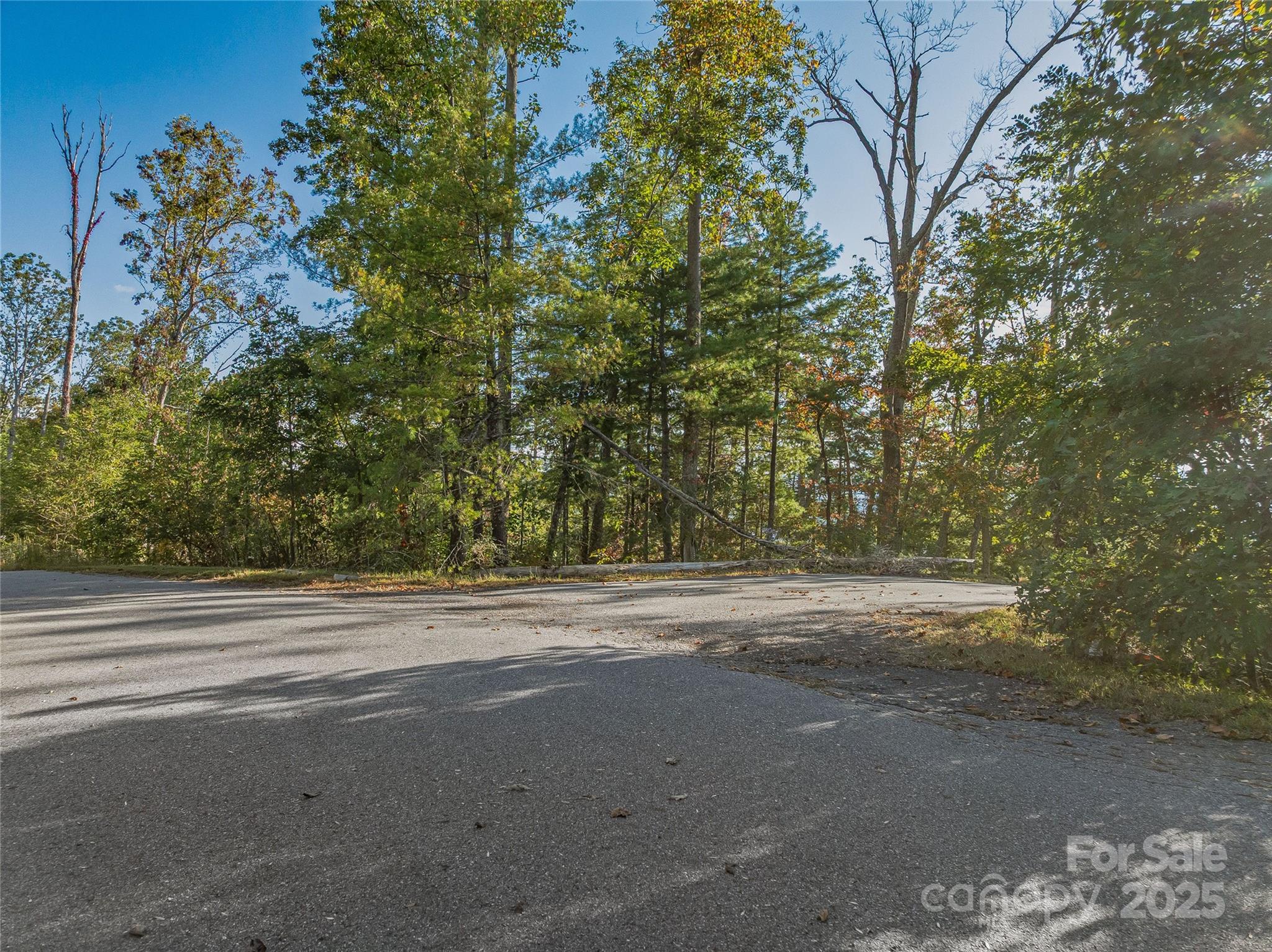273 Serenity Ridge Trail 36 Property Photo 27