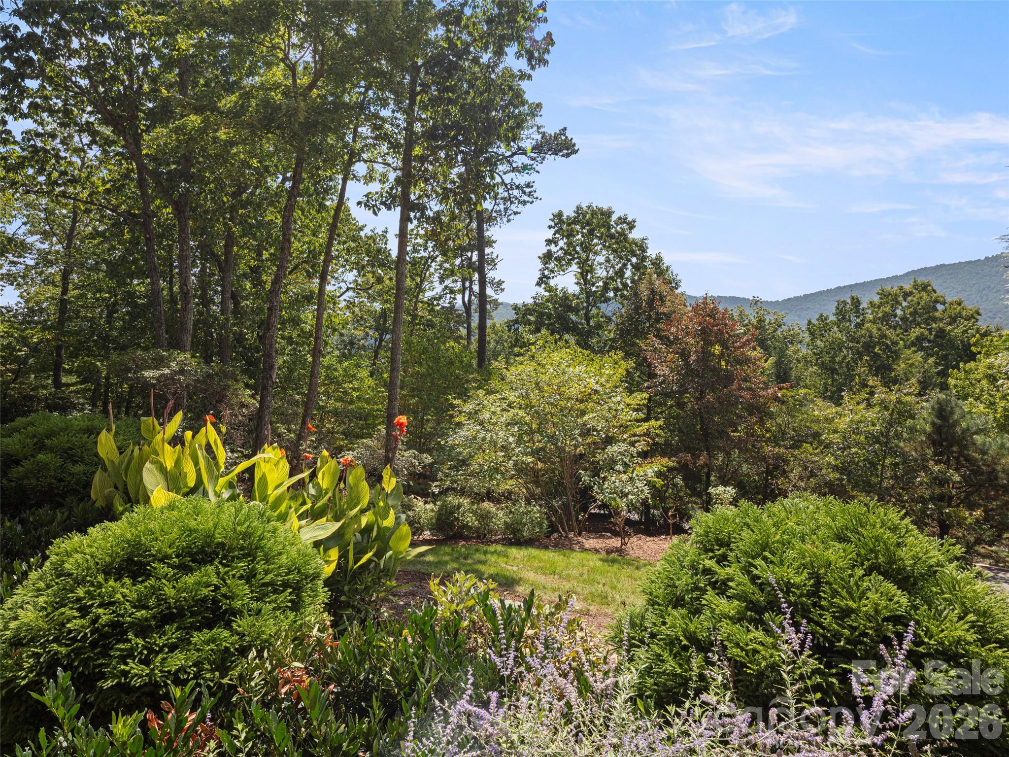 5 Rock Vista Way Property Photo 45