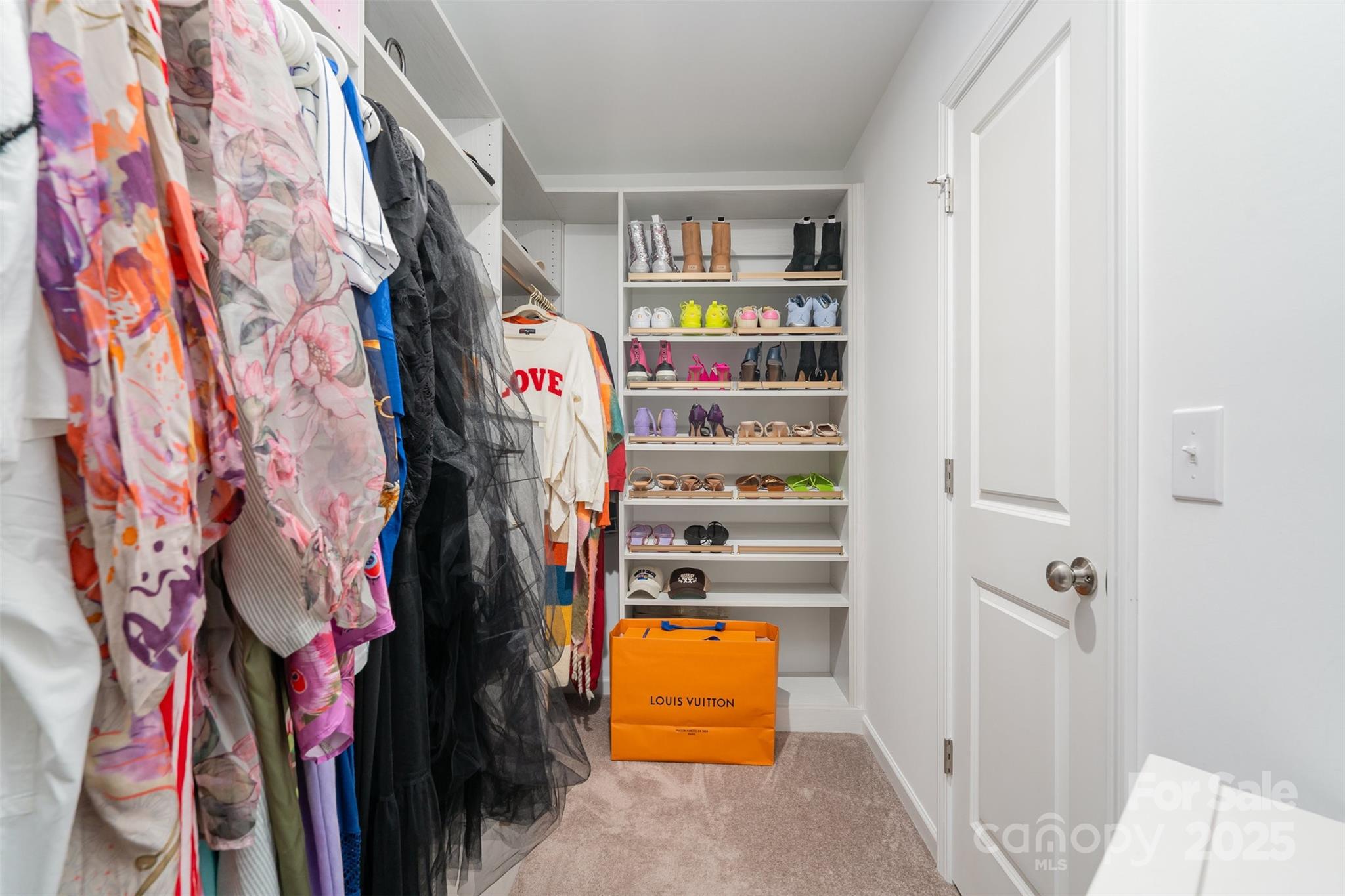 10002 Travis Floyd Lane Property Photo 19