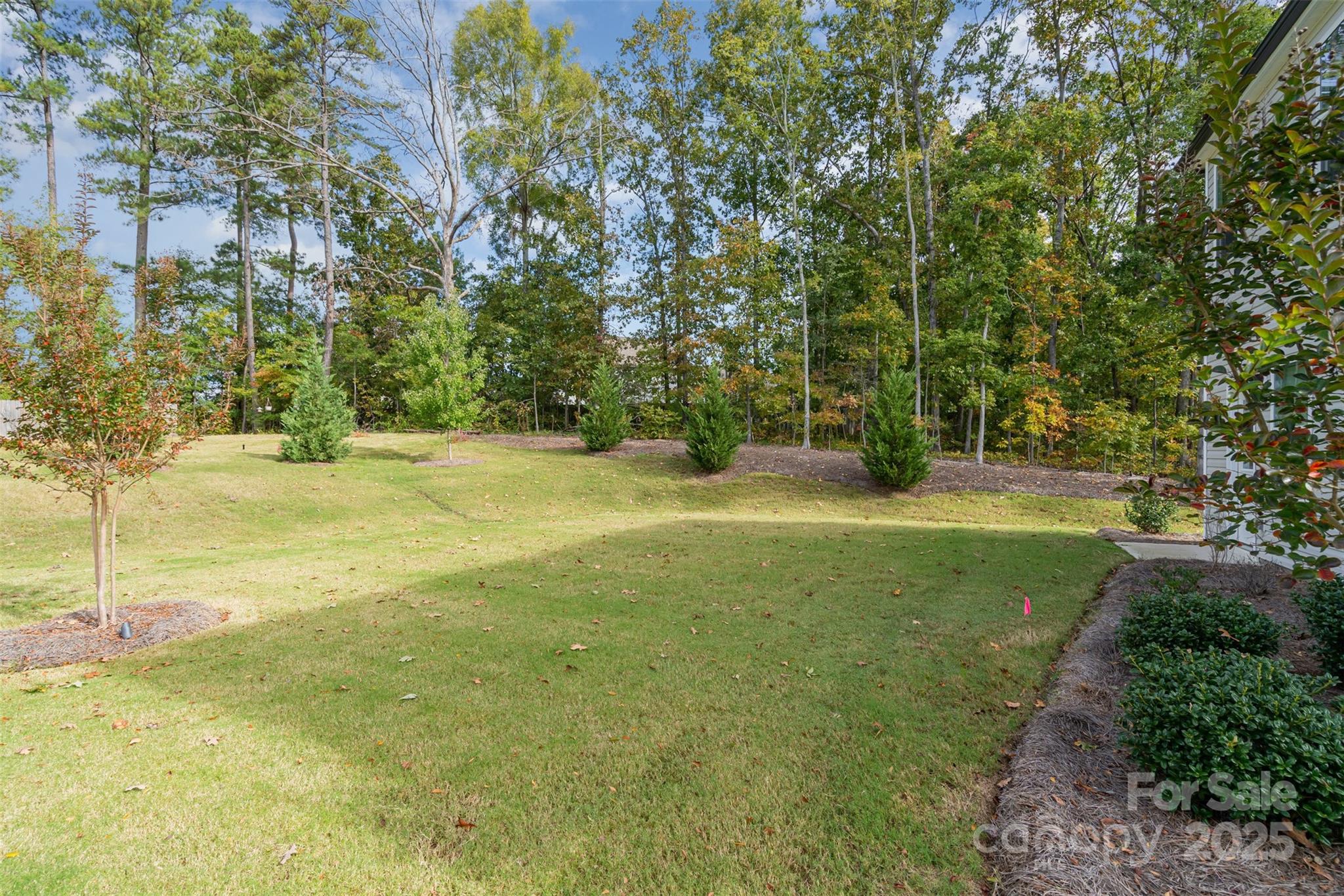 10002 Travis Floyd Lane Property Photo 33