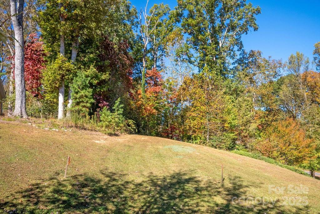 Lot 1 Cadence Circle Property Photo 8