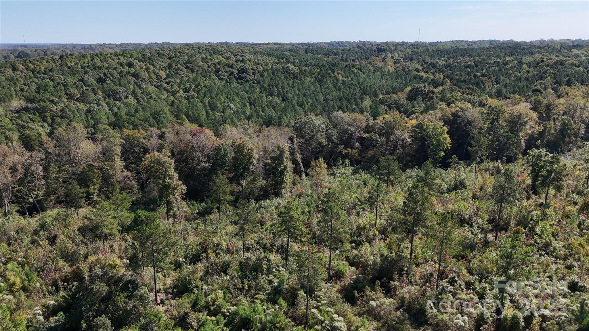 Lot 1 Farris Cato Road Property Photo 6