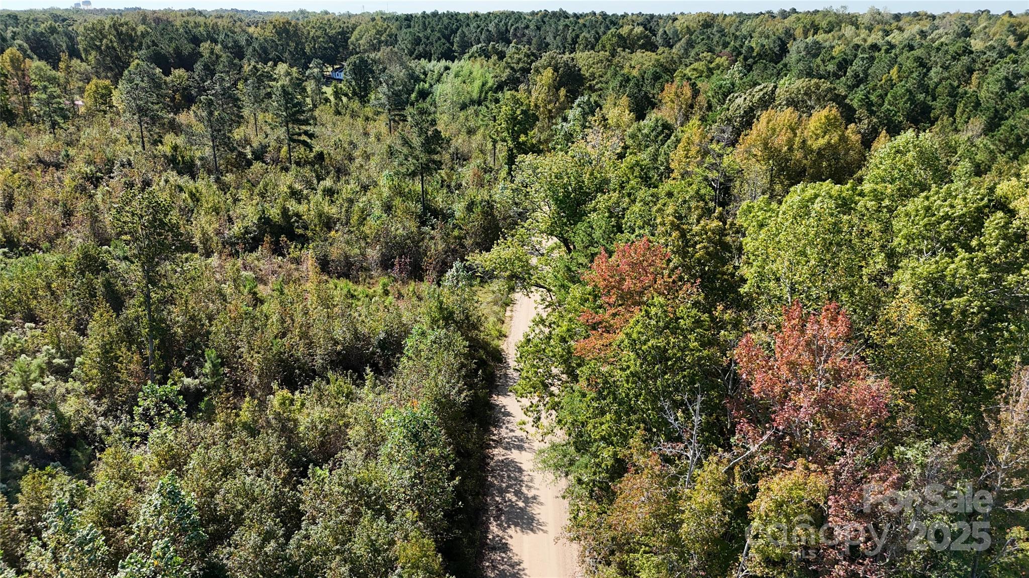 Lot 1 Farris Cato Road Property Photo 17