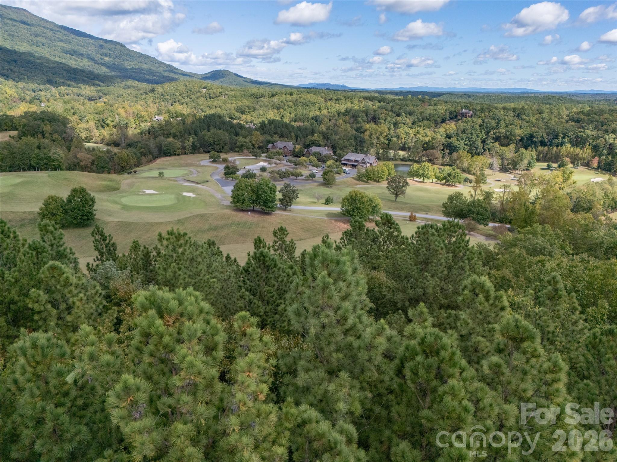 000 Deep Gap Farm Drive 2021 Property Photo 8
