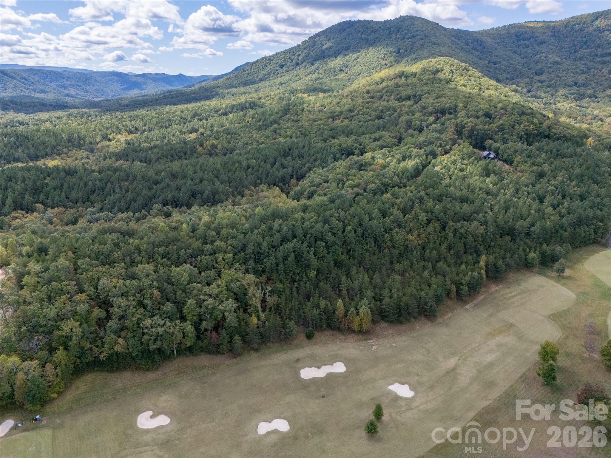 000 Deep Gap Farm Drive 2021 Property Photo 10