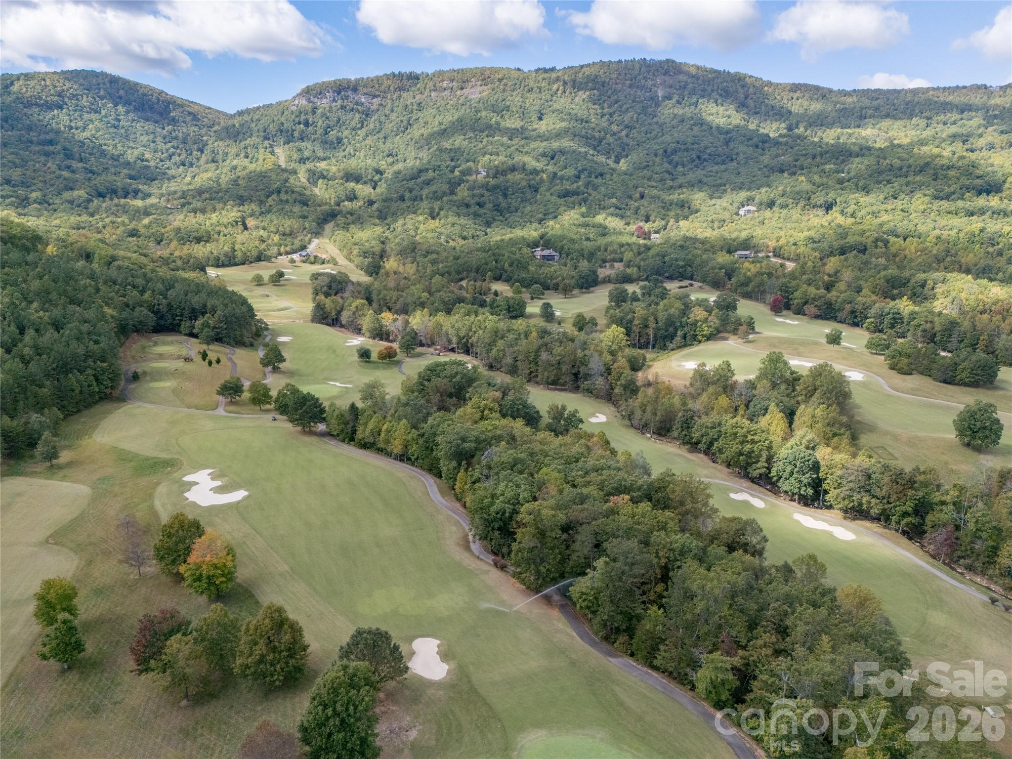 000 Deep Gap Farm Drive 2021 Property Photo 11