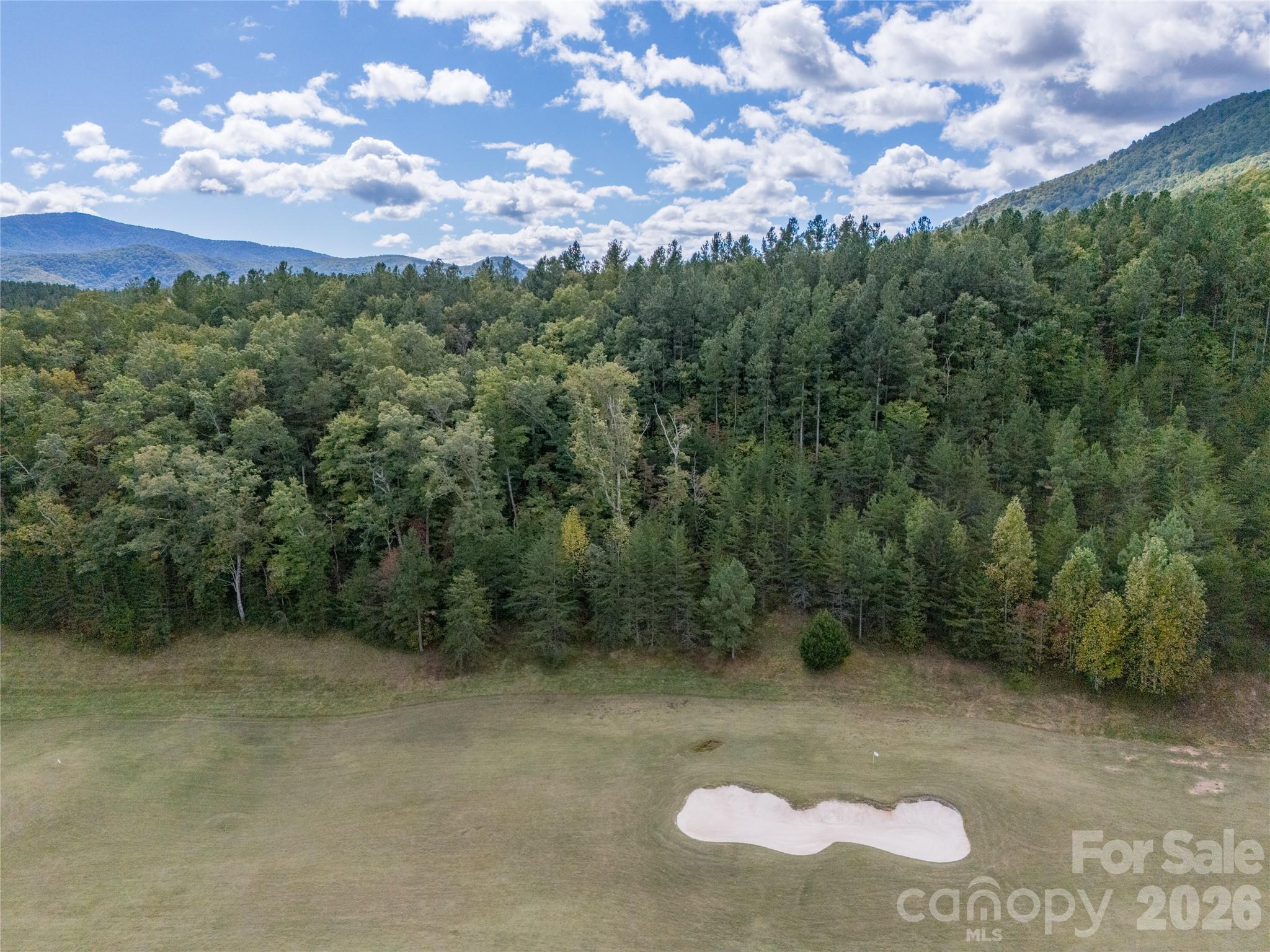 000 Deep Gap Farm Drive 2021 Property Photo 12