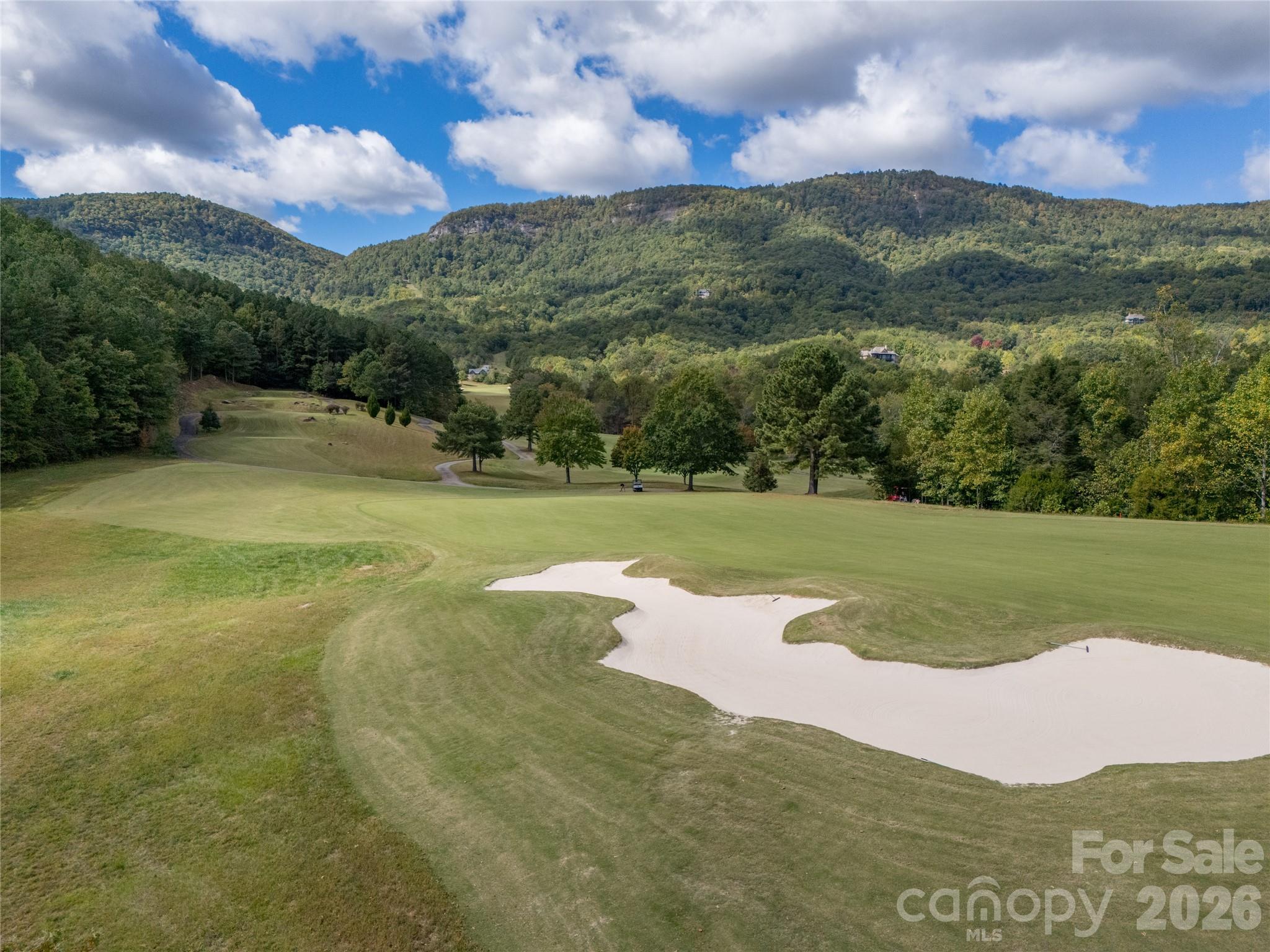 000 Deep Gap Farm Drive 2021 Property Photo 13